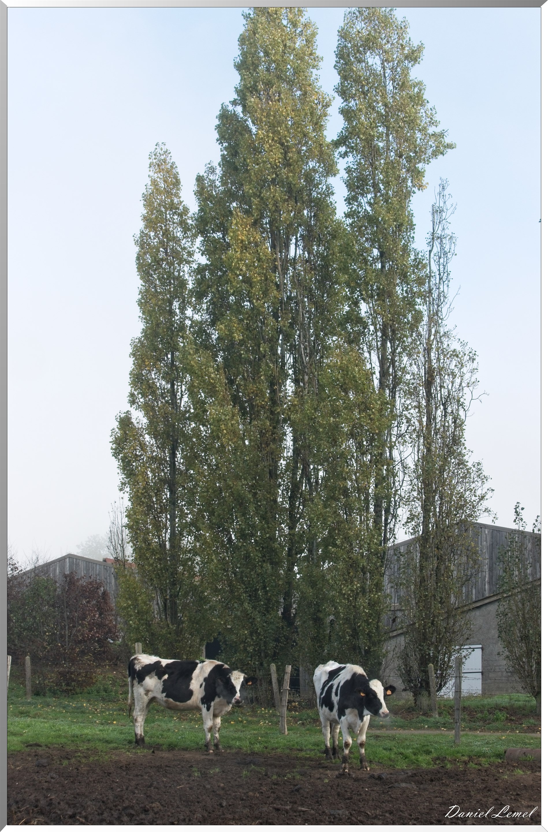 Notre-Dame-de-la-Mer