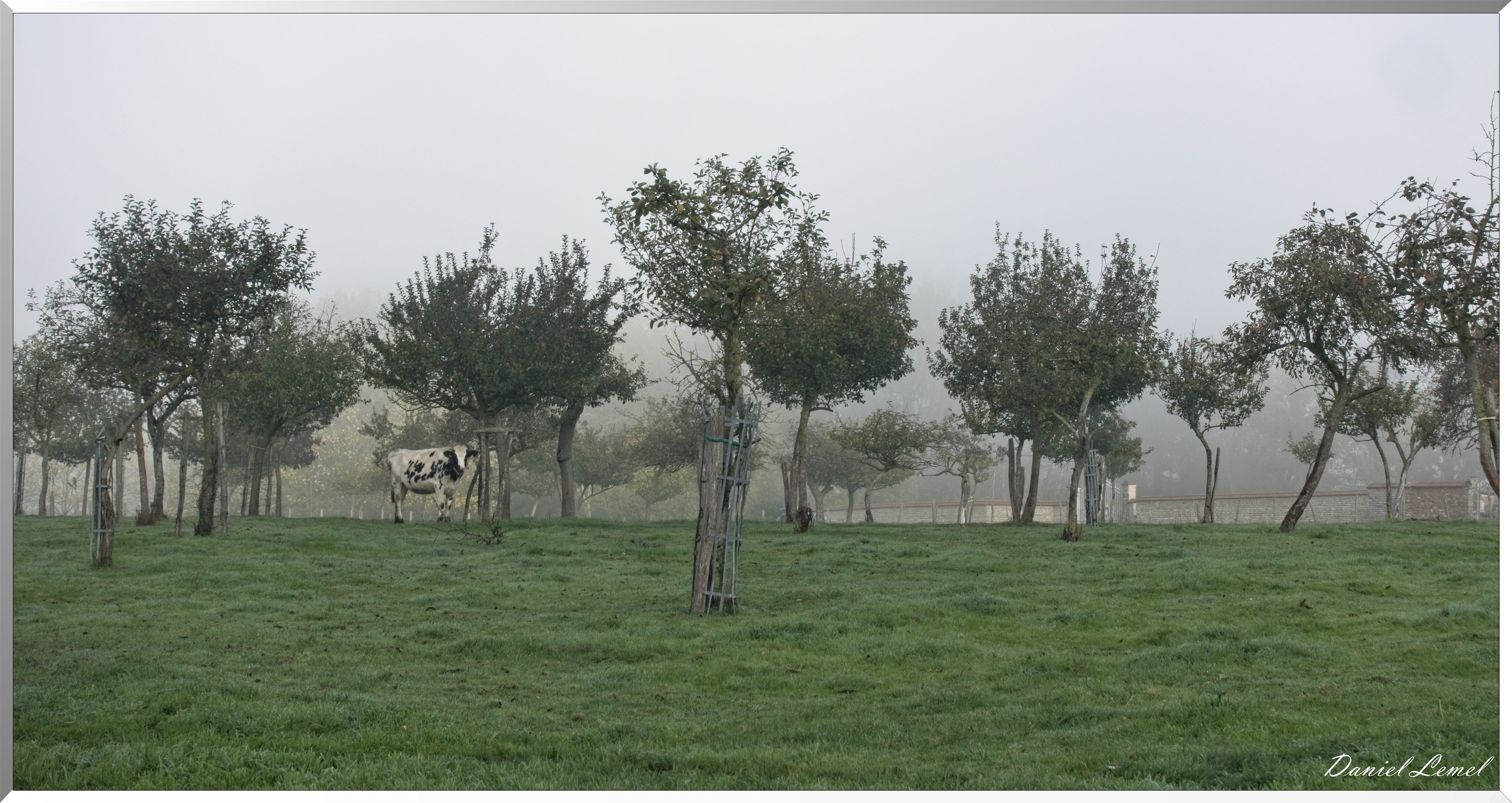 Notre-Dame-de-la-Mer