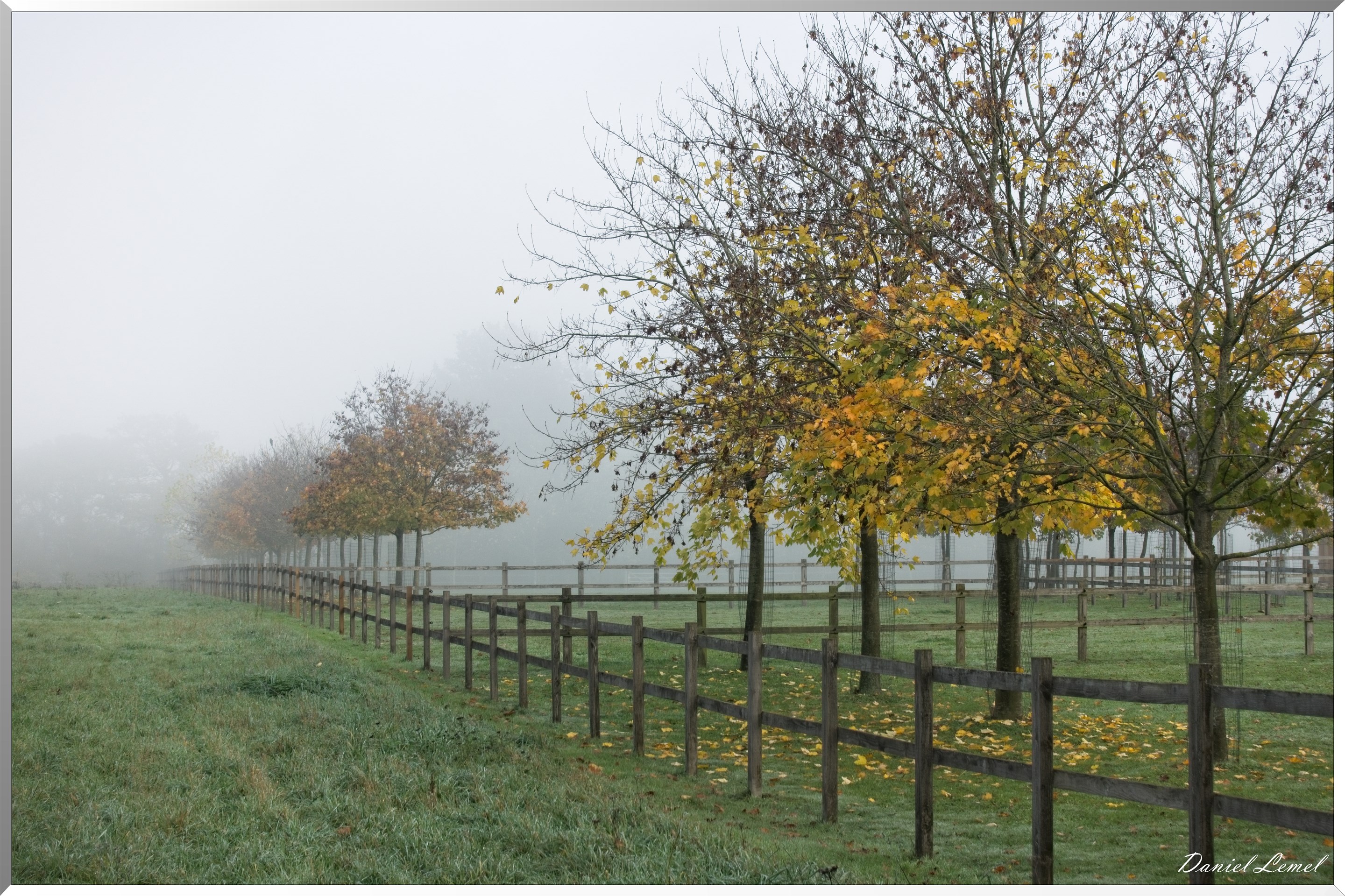 Notre-Dame-de-la-Mer