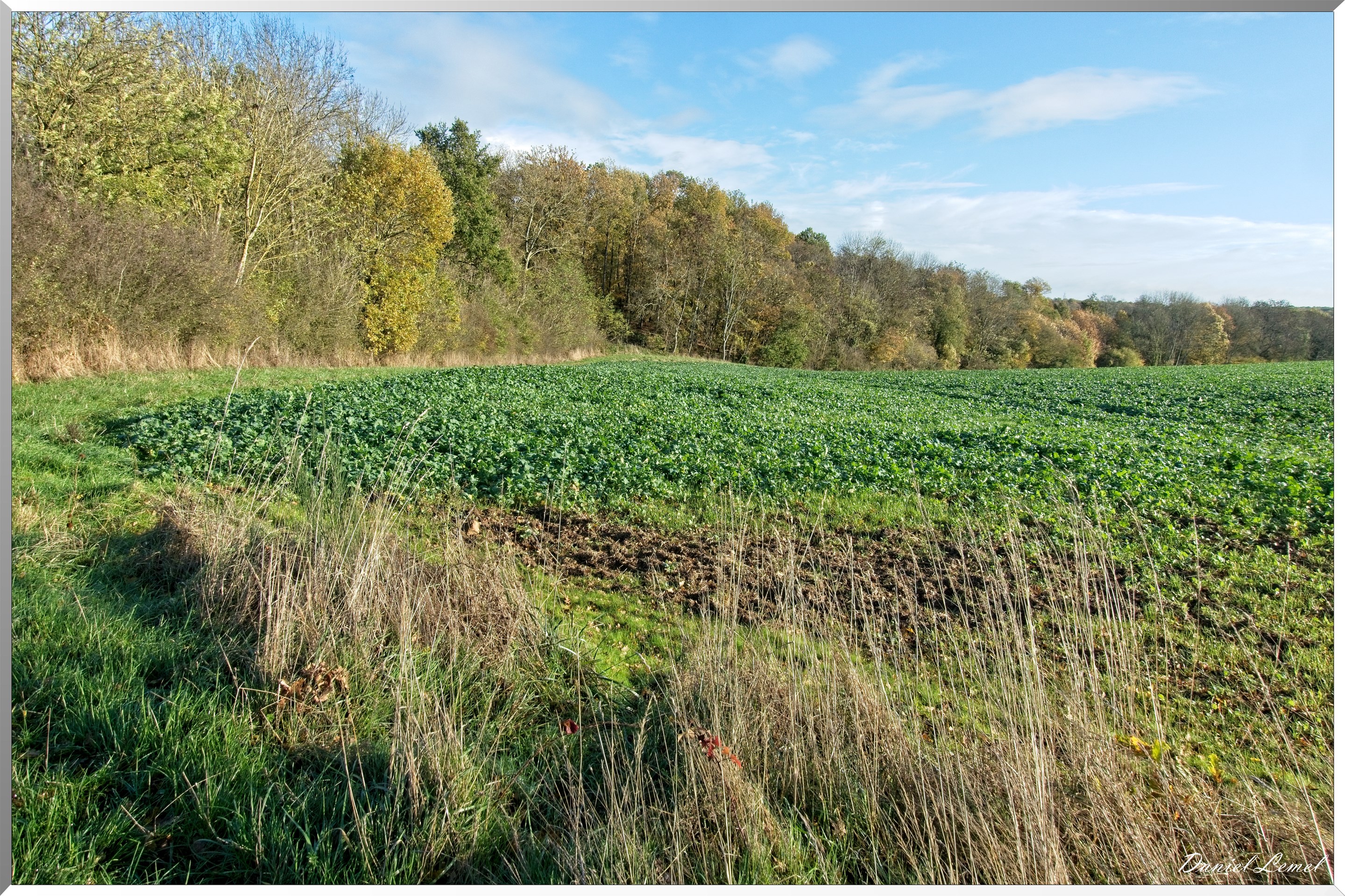 La-Chapelle-Réanville