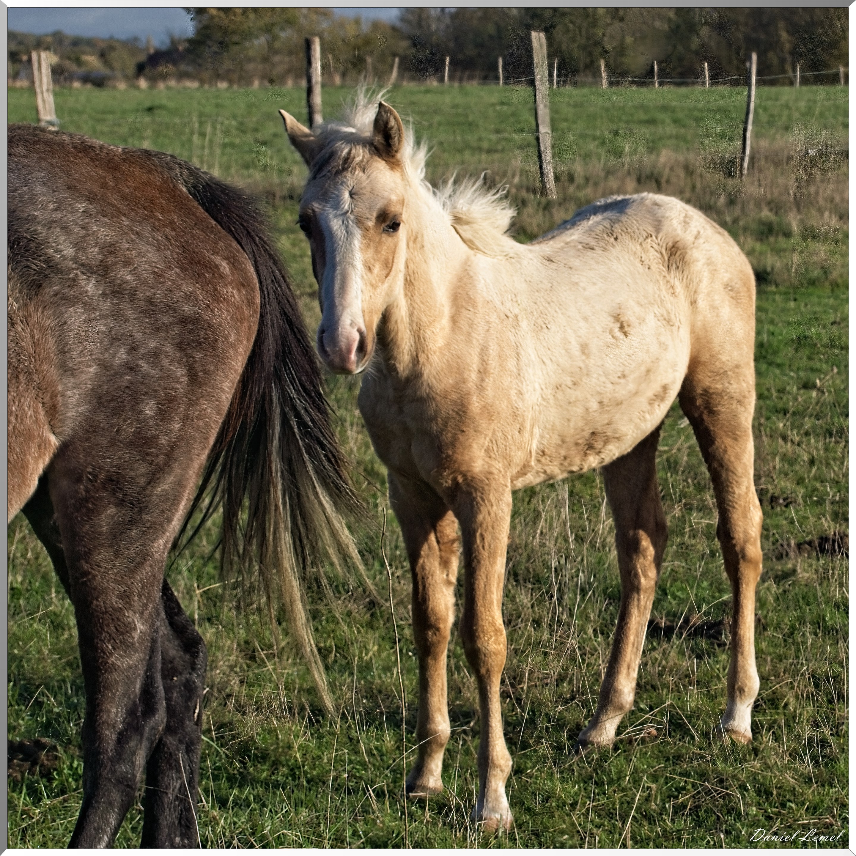 La-Chapelle-Réanville