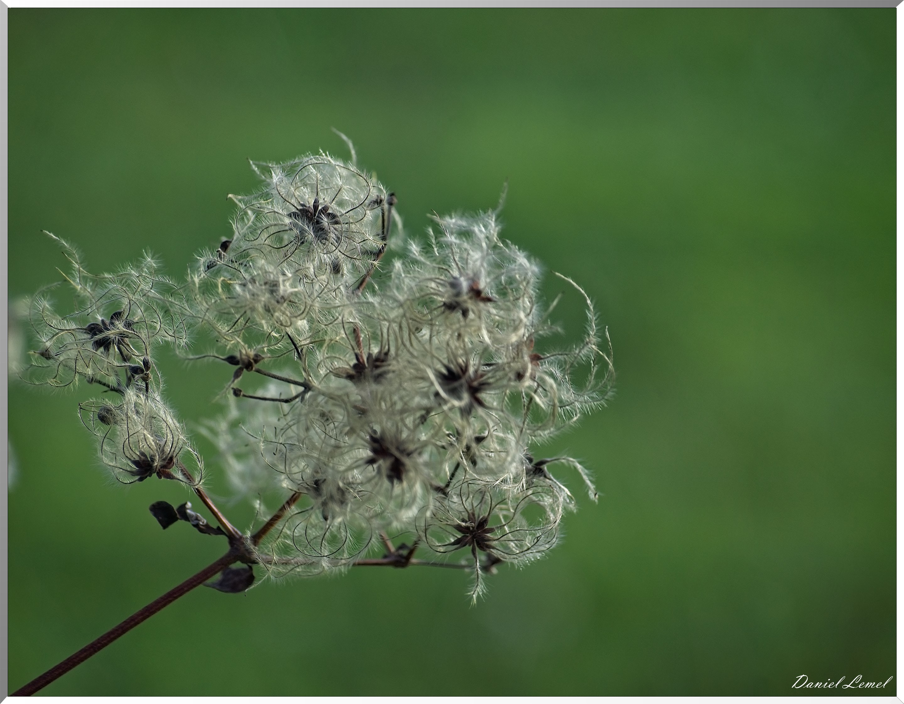 La-Chapelle-Réanville