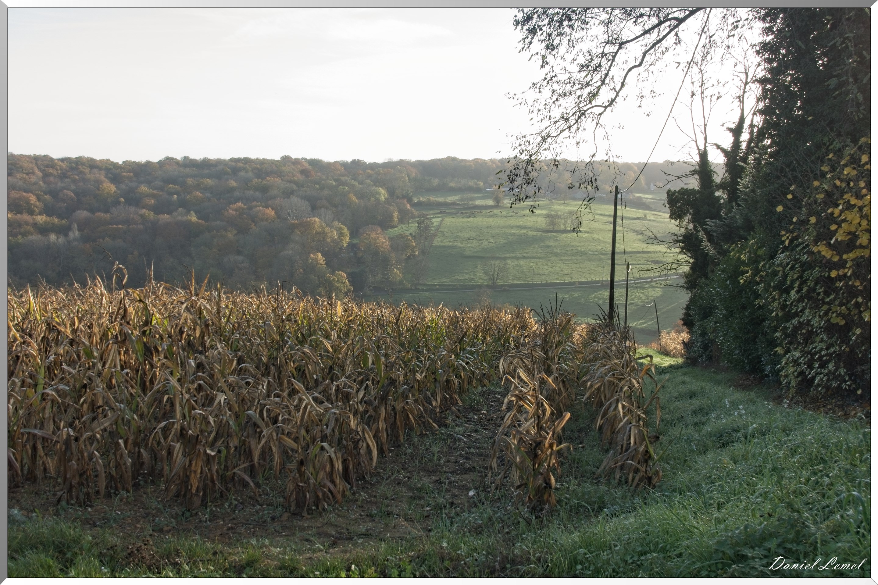 Saint-Pierre-de-Bailleul