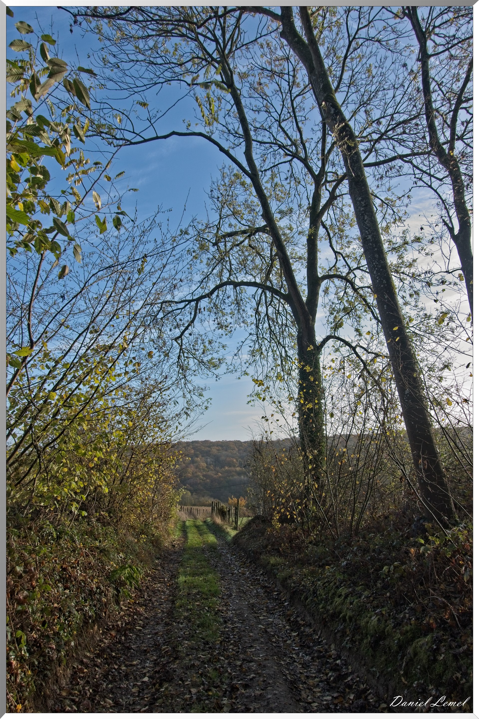 Saint-Pierre-de-Bailleul