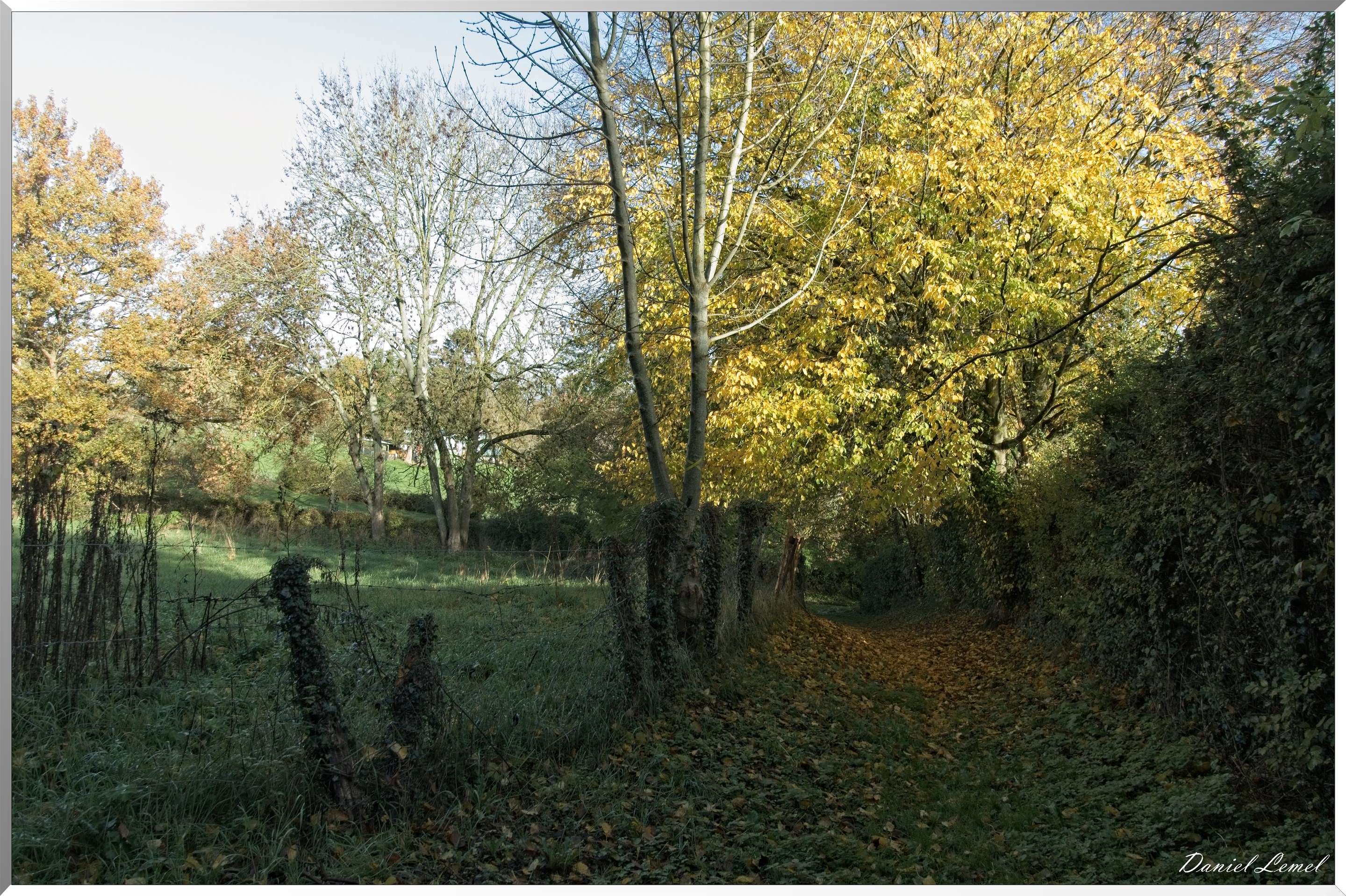 Saint-Pierre-de-Bailleul