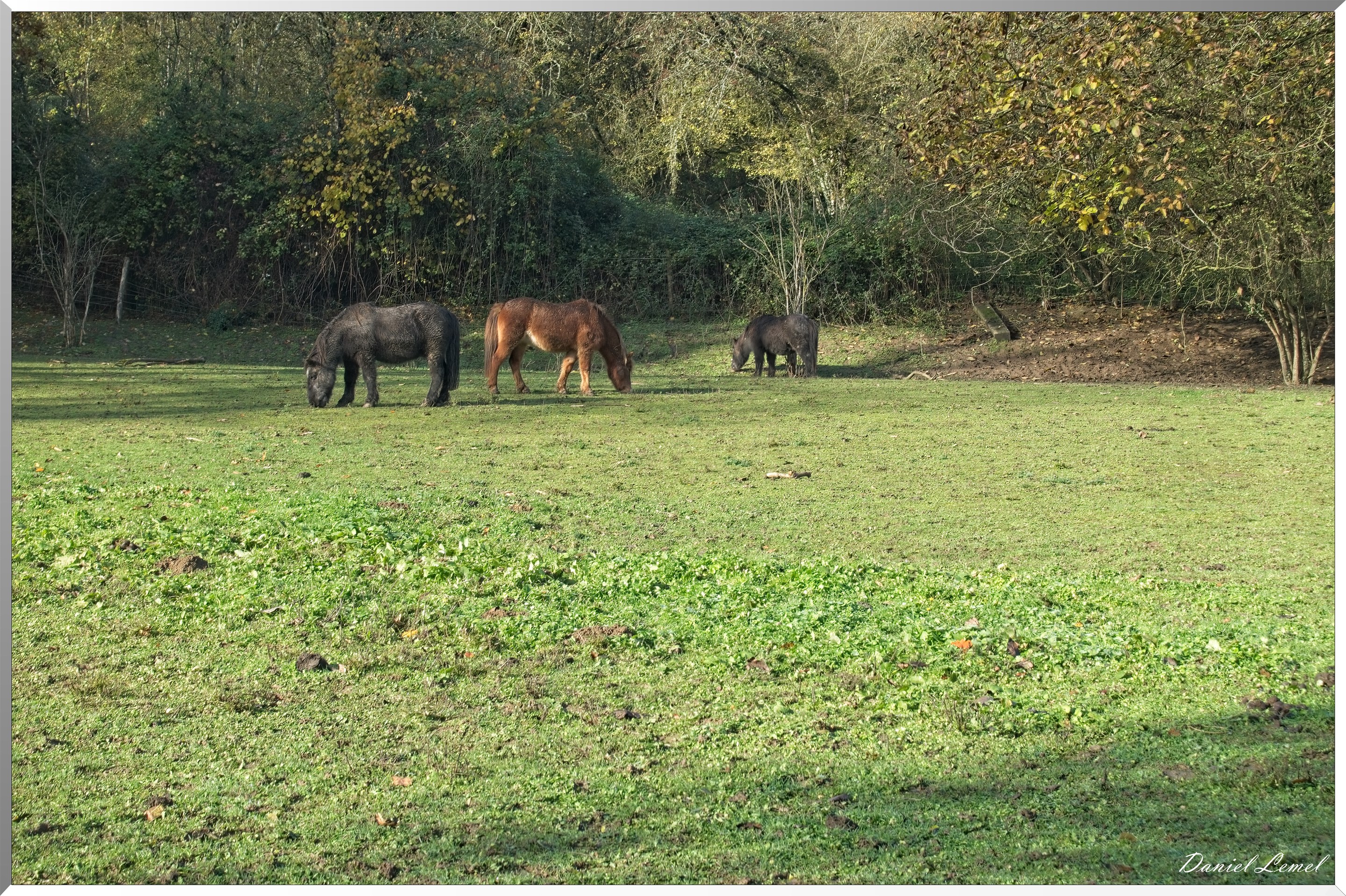 Saint-Pierre-de-Bailleul
