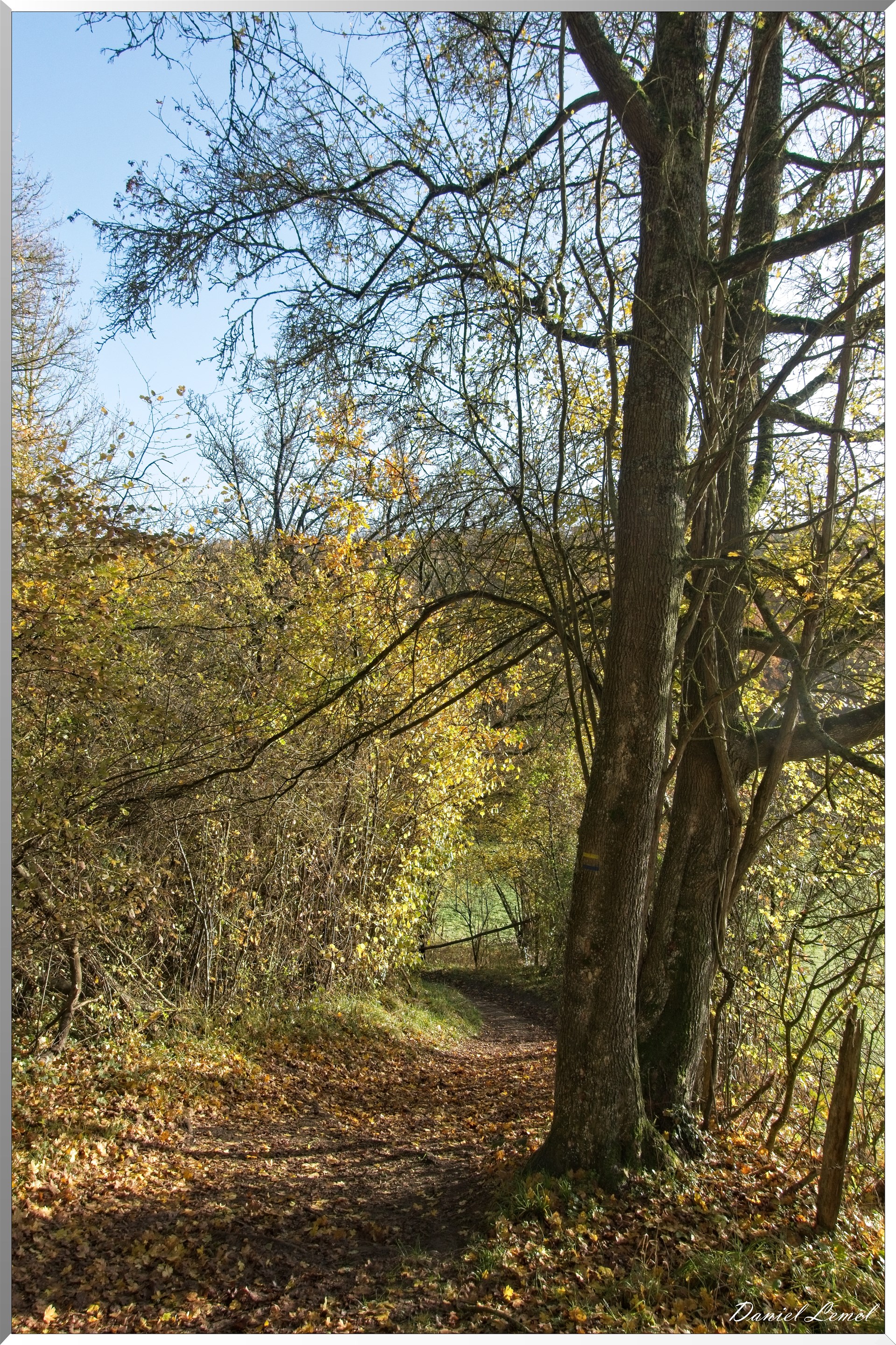 Saint-Pierre-de-Bailleul