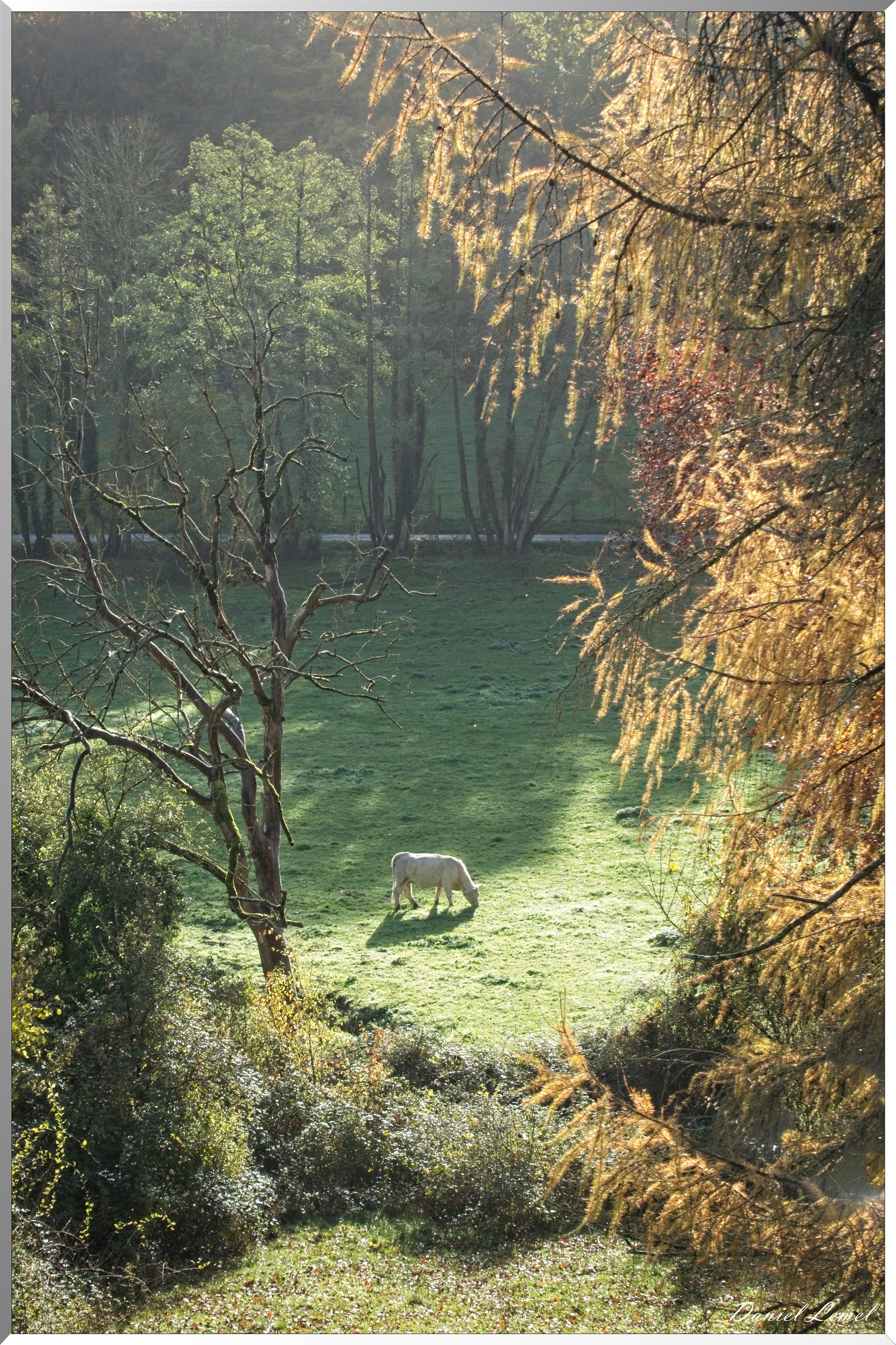 Saint-Pierre-de-Bailleul