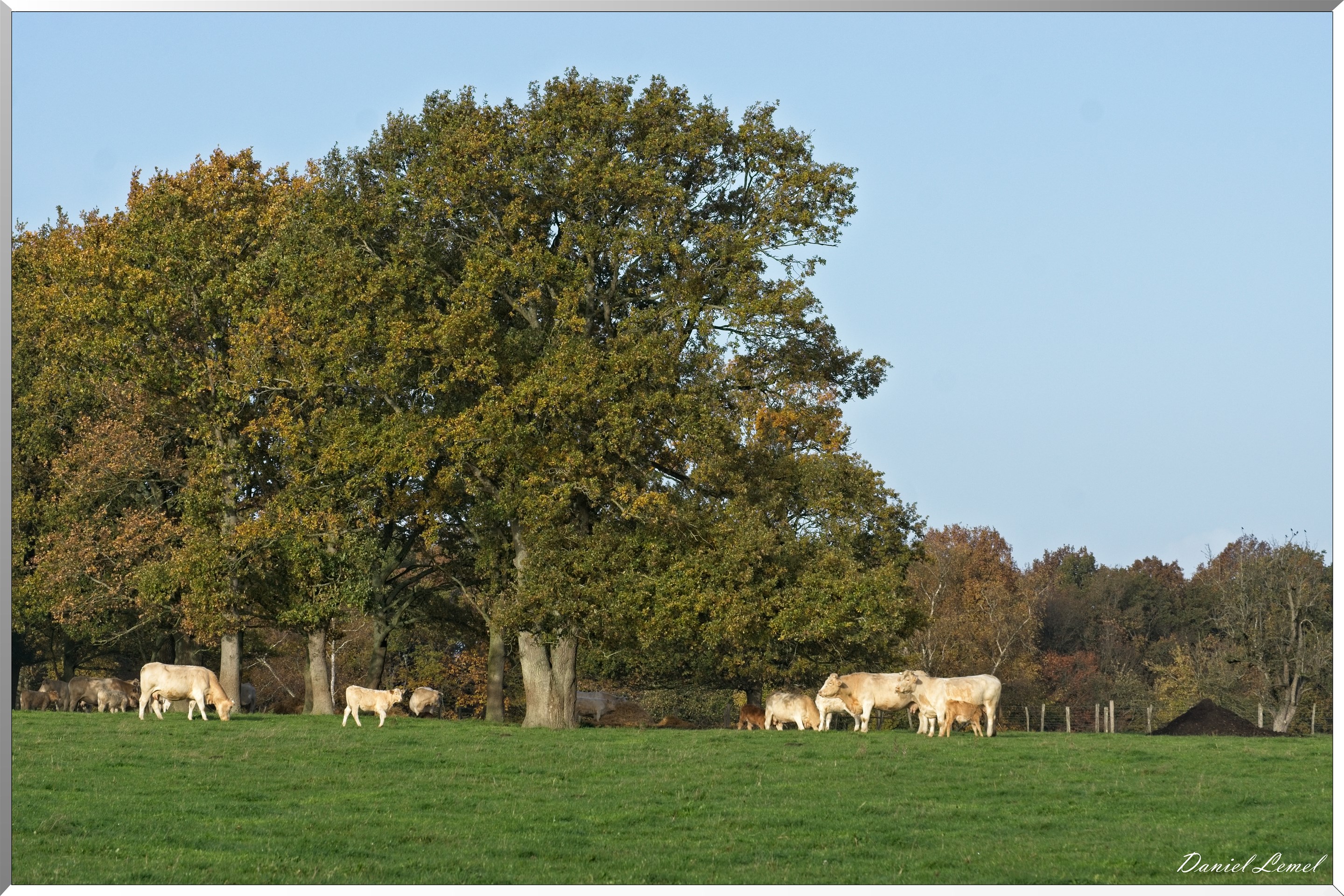 Saint-Pierre-de-Bailleul