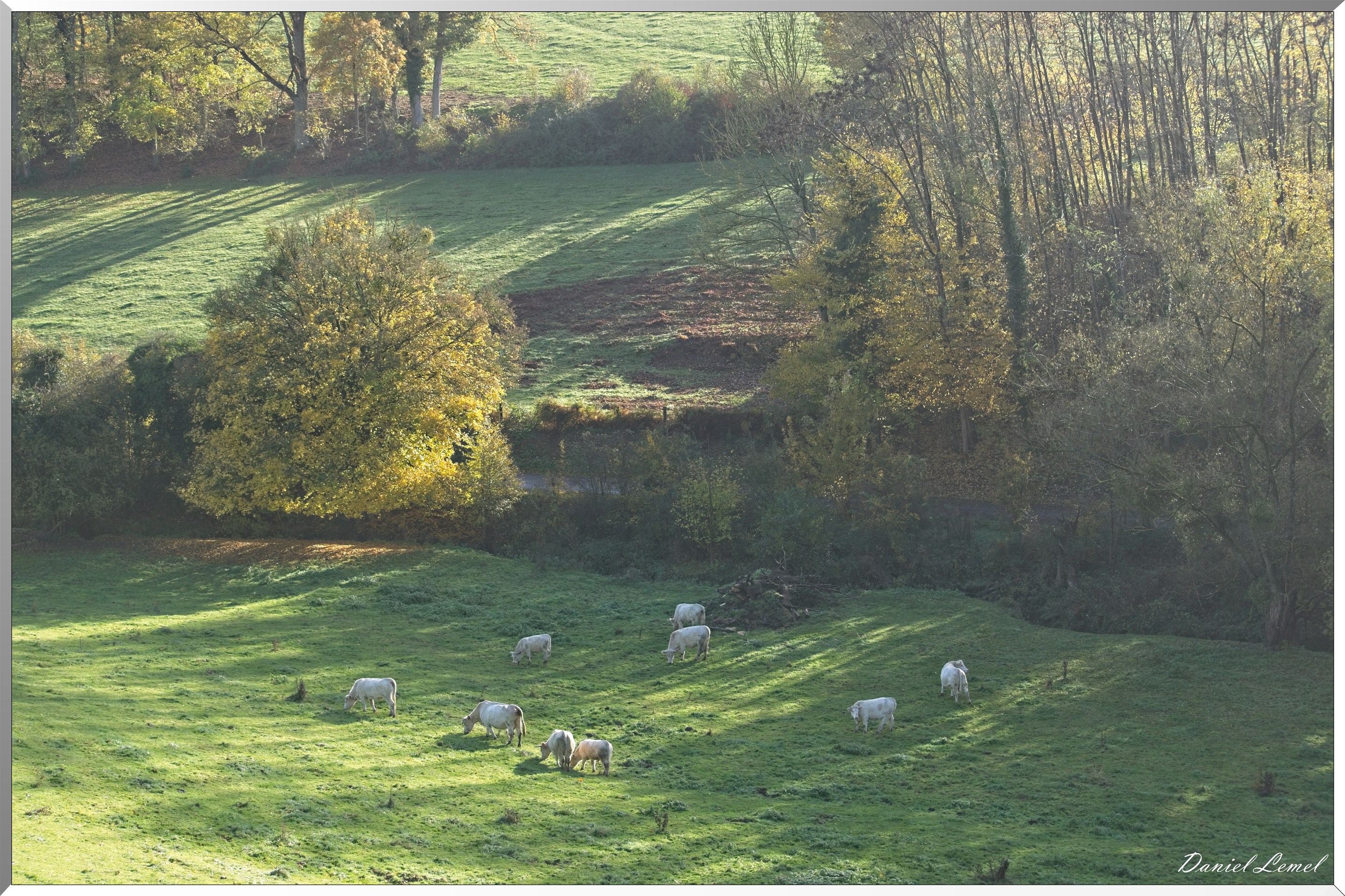 Saint-Pierre-de-Bailleul