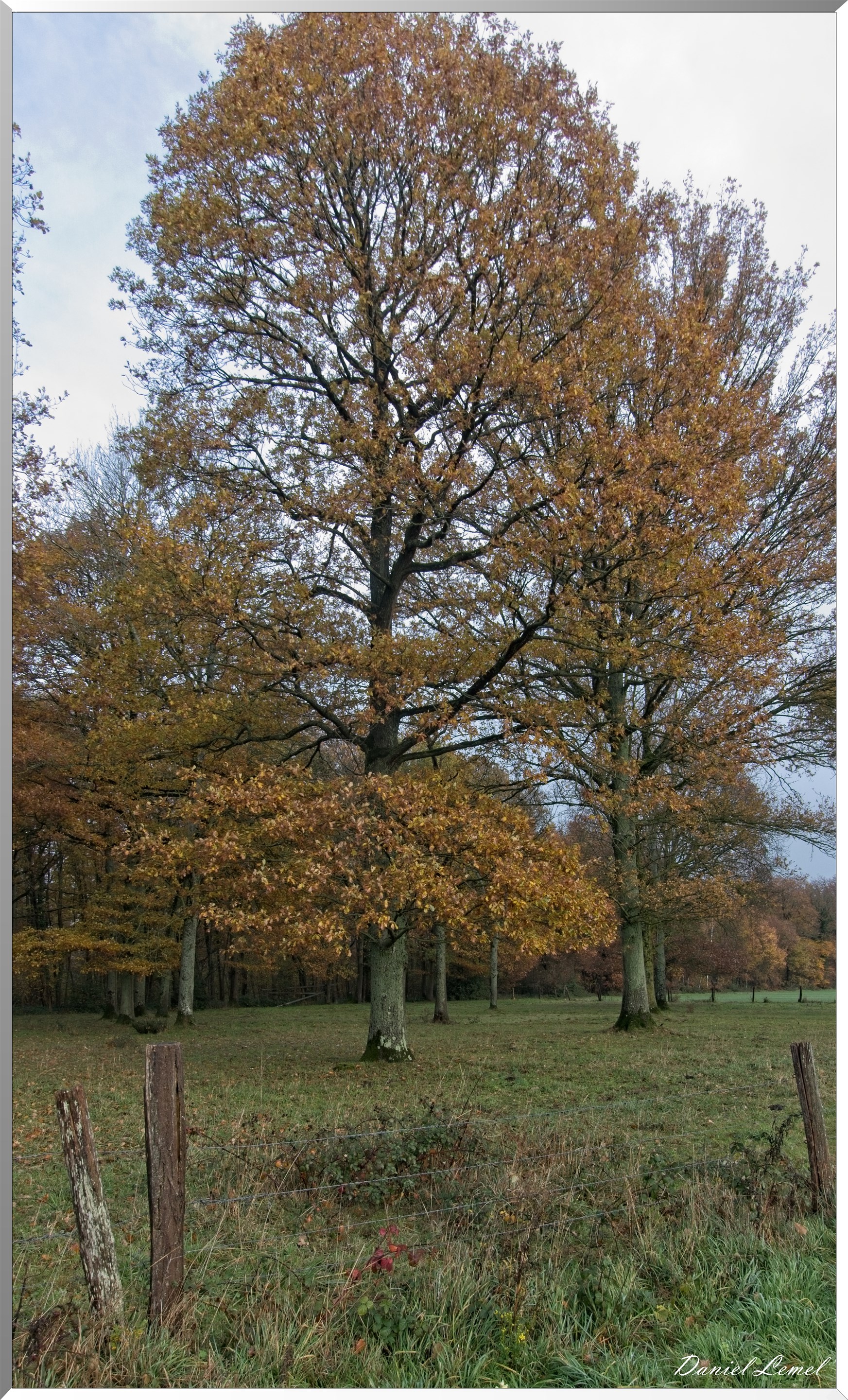 Heubécourt-Haricourt