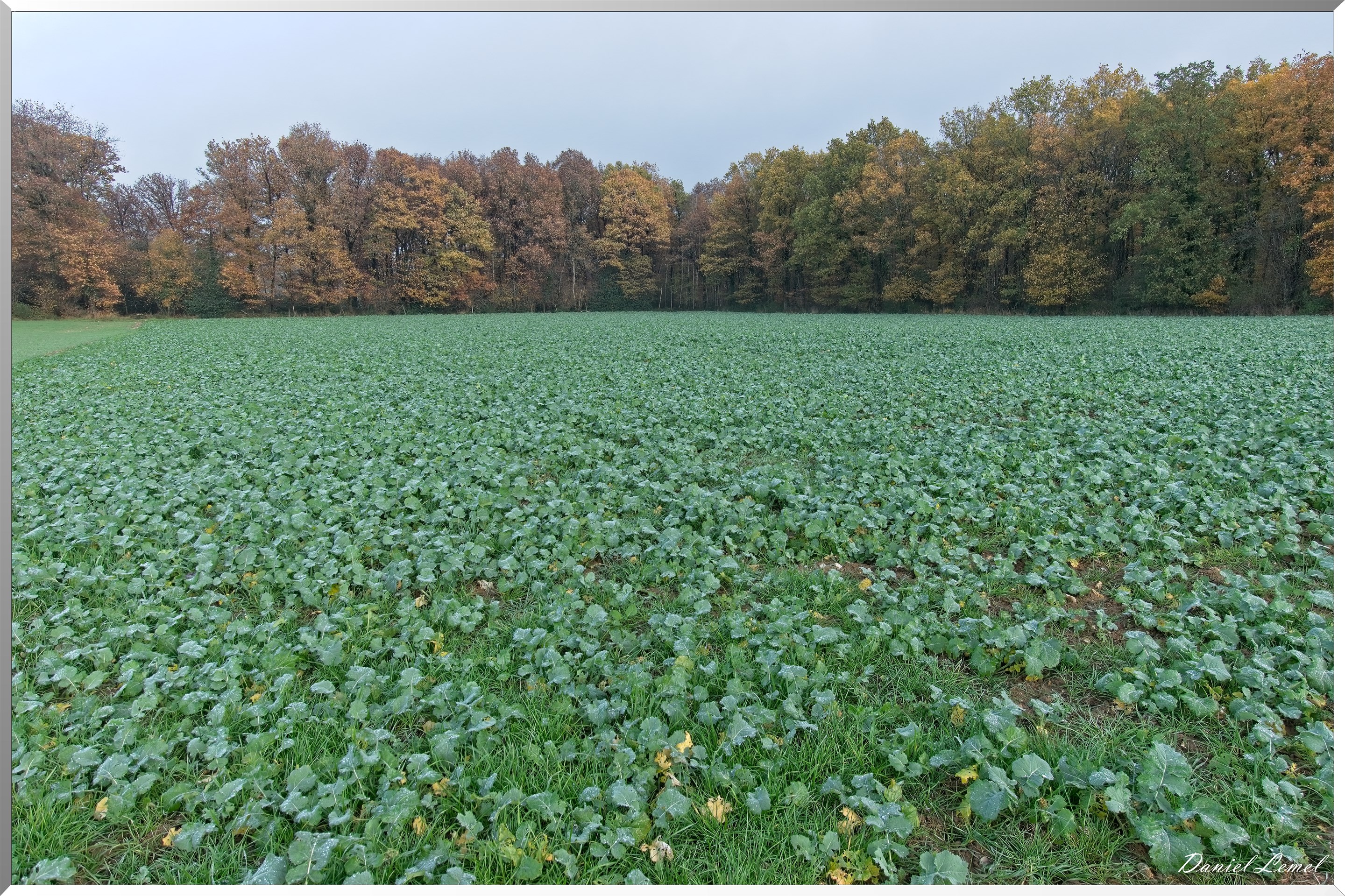 Heubécourt-Haricourt