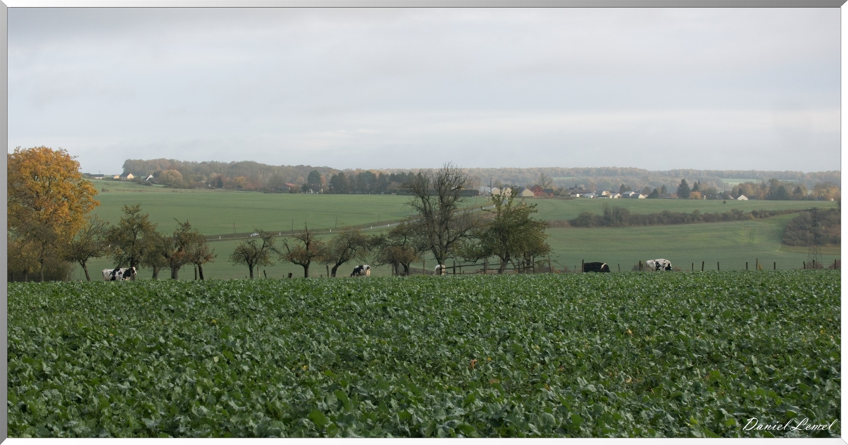 Heubécourt-Haricourt