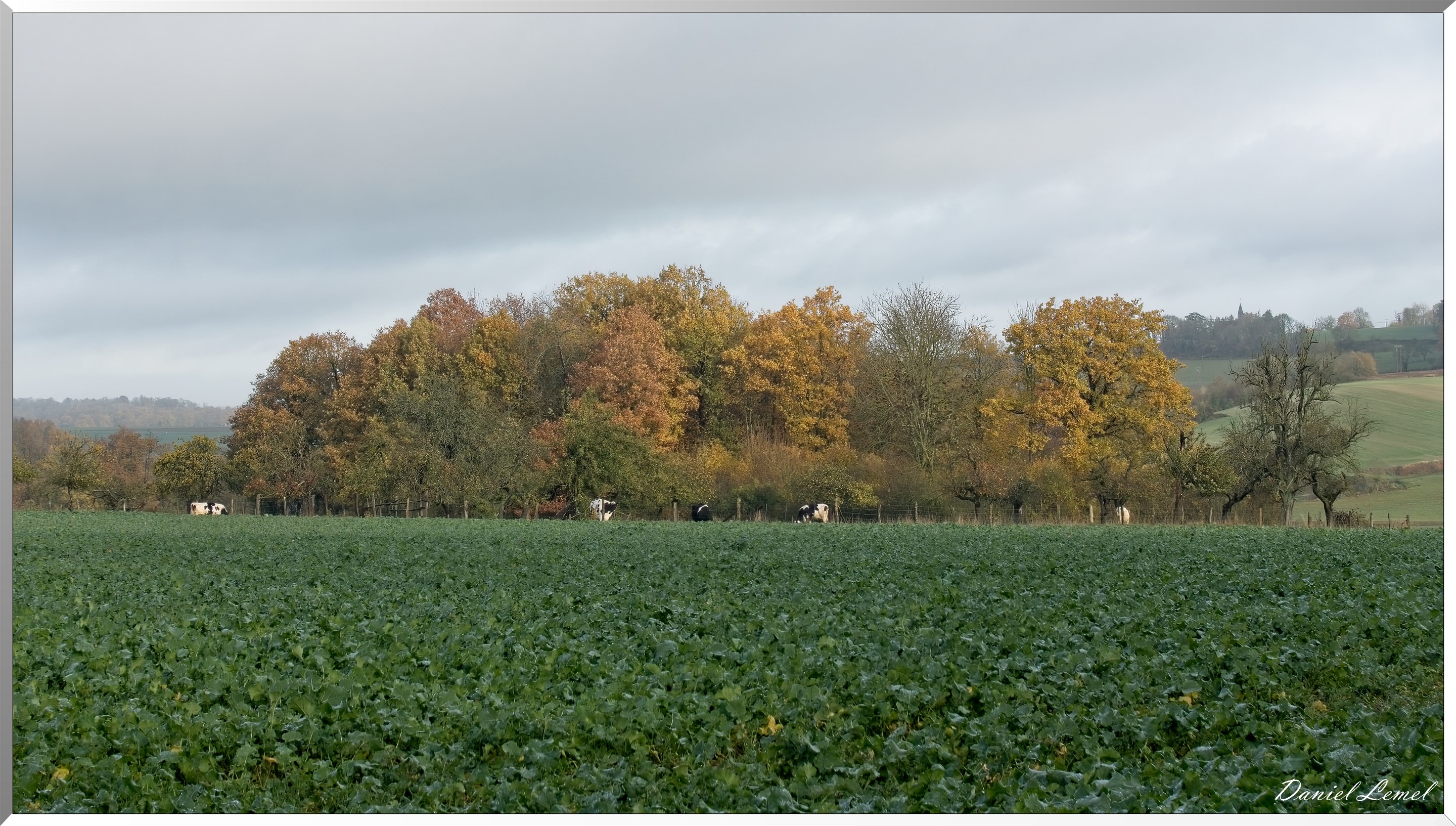 Heubécourt-Haricourt