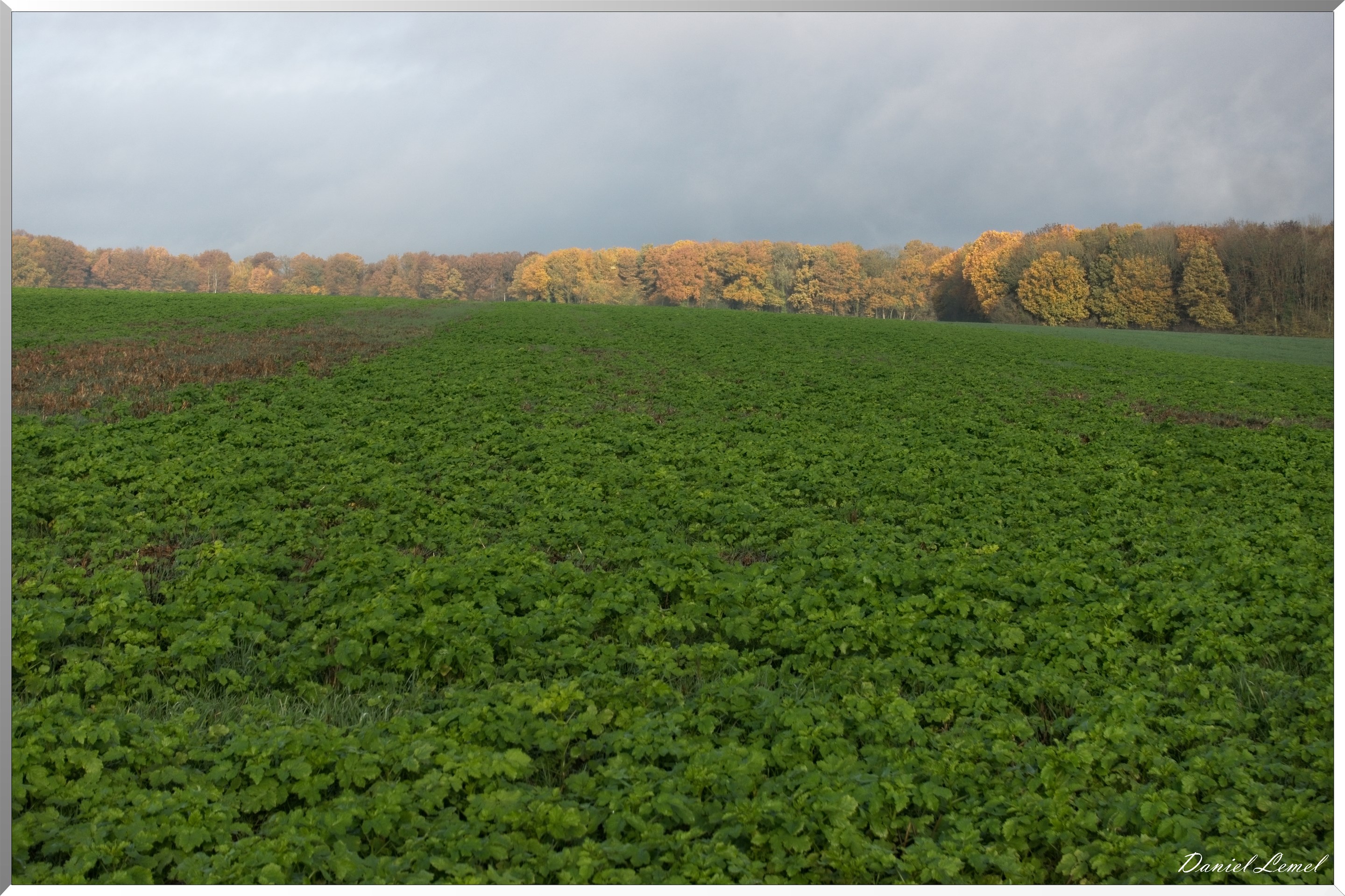 Heubécourt-Haricourt