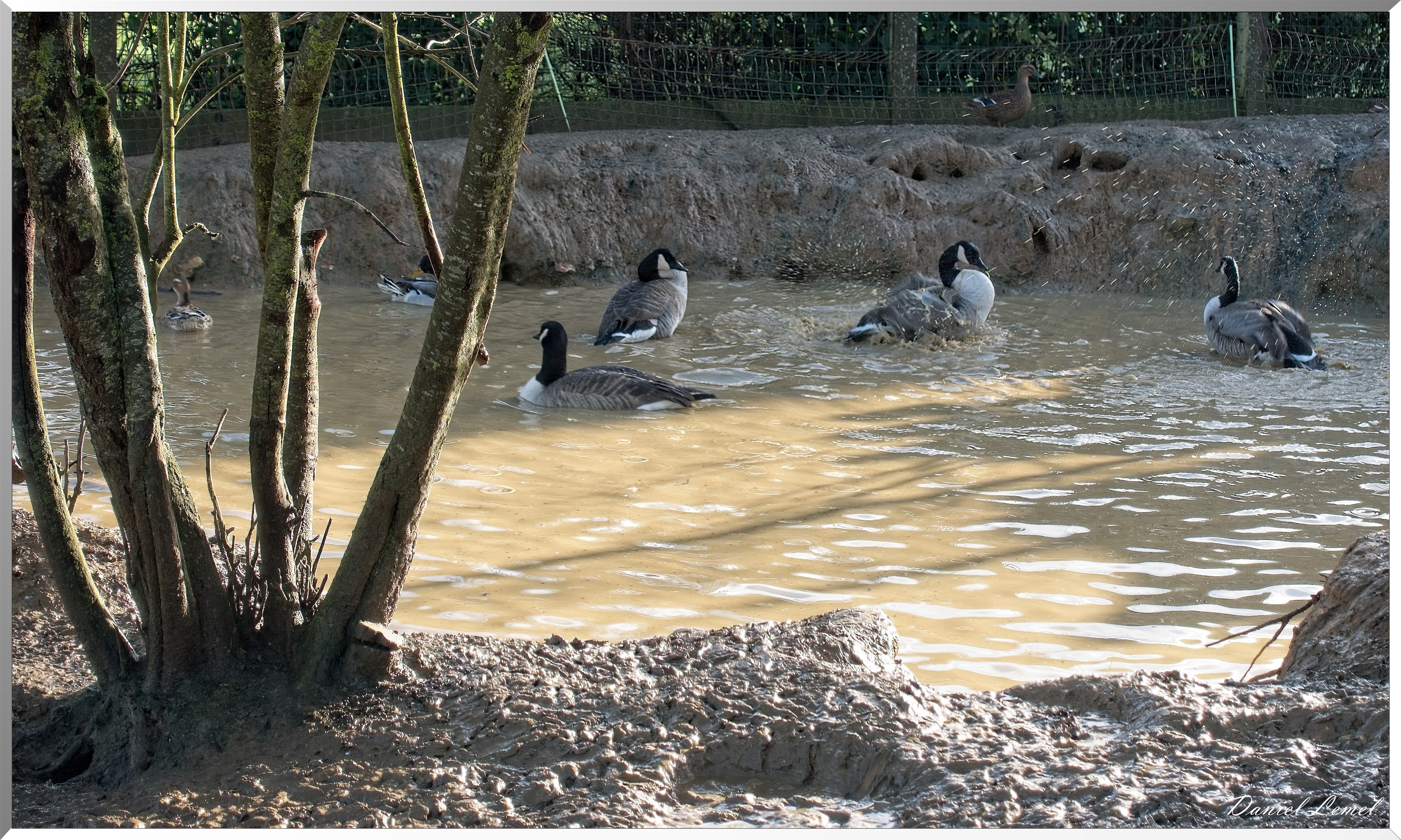 Heubécourt-Haricourt