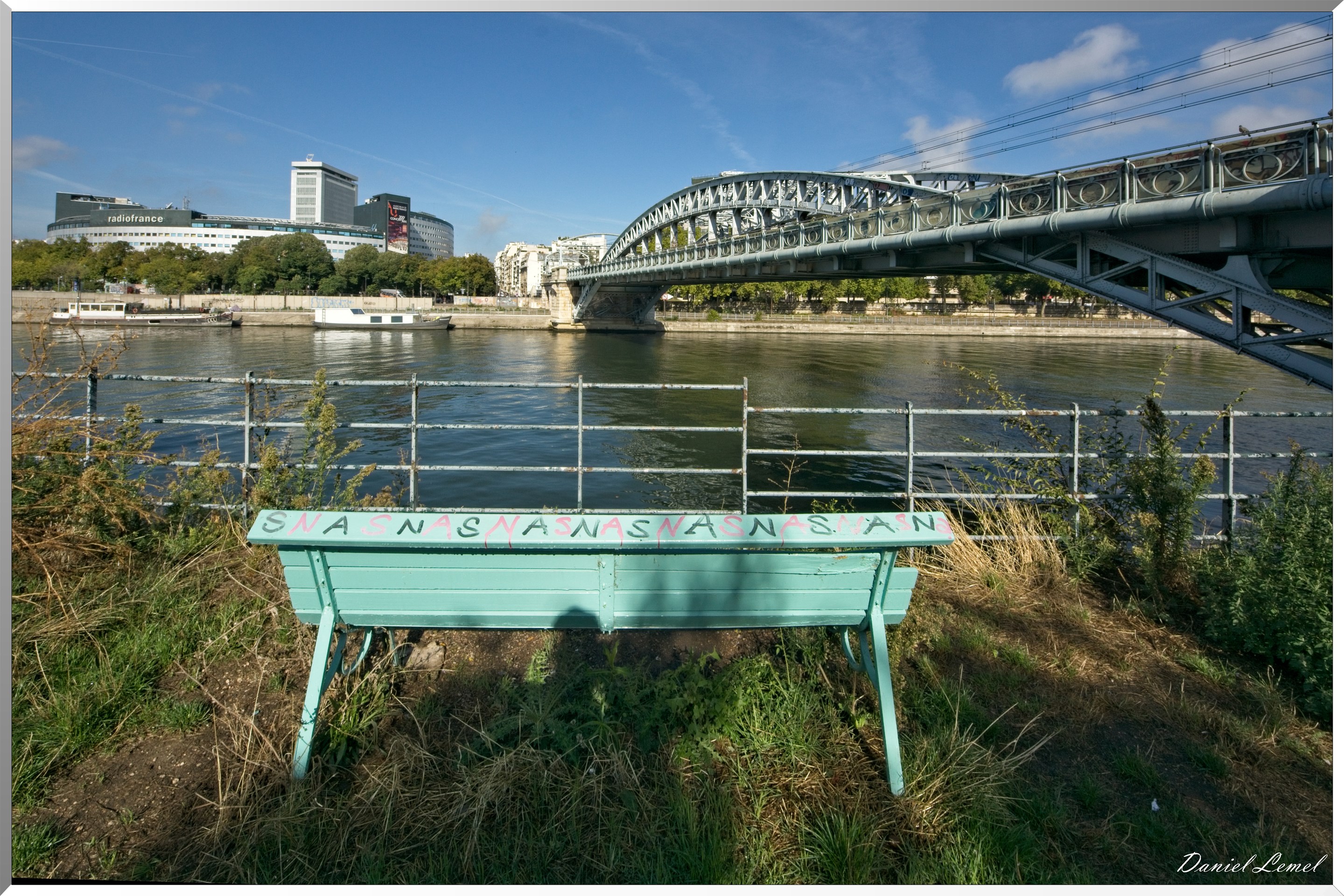 Passerelle de Passy ou Pont Rouelle - Vue de l'île des cygnes