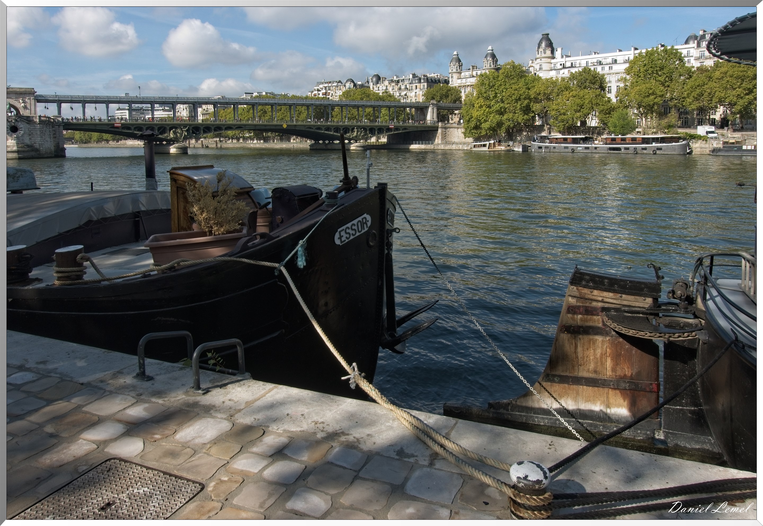 Pont de Bir Hakeim - Pointe de l'île aux cygnes
