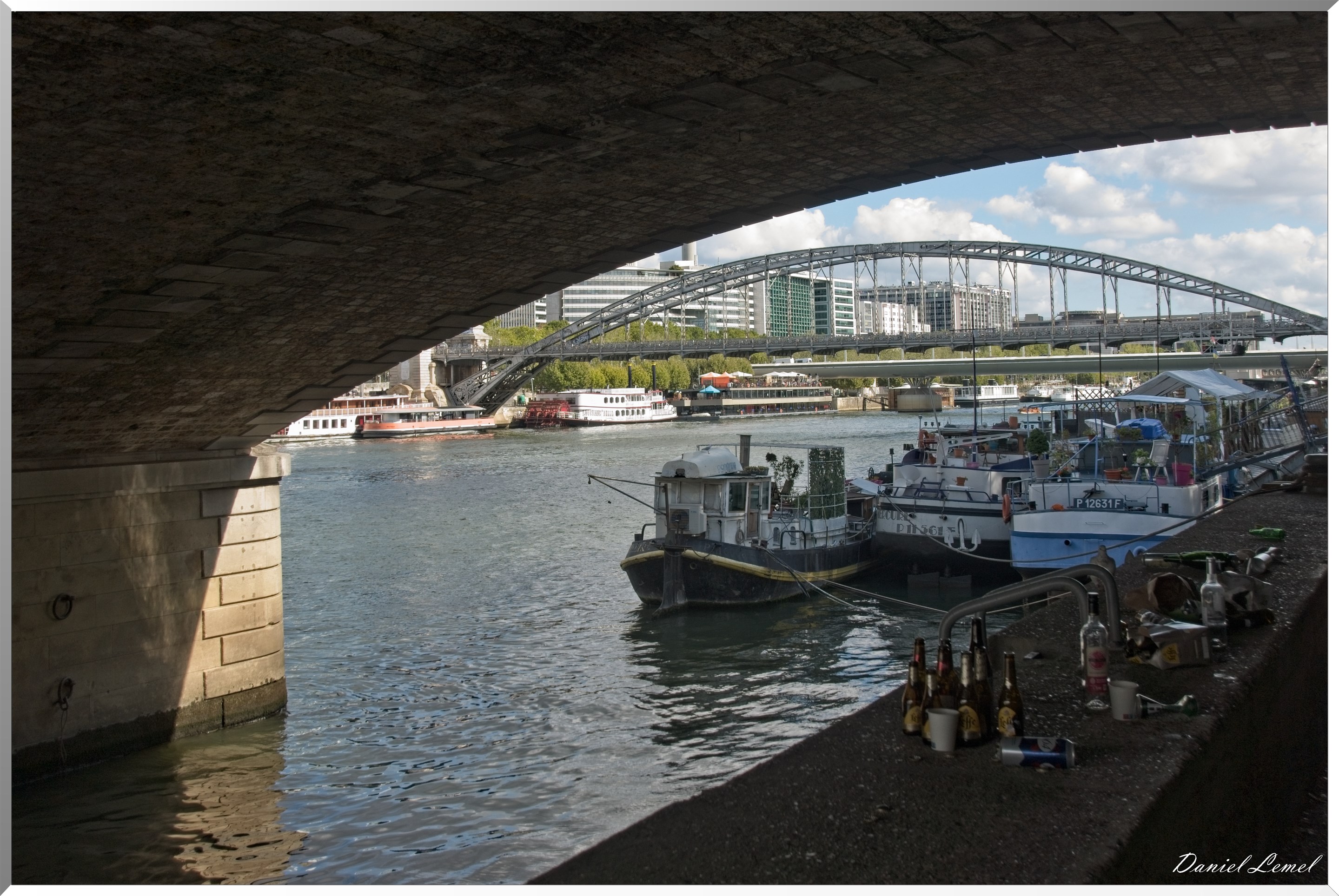 Le viaduc d'Austerlitz vue du pont d'Austerlitz