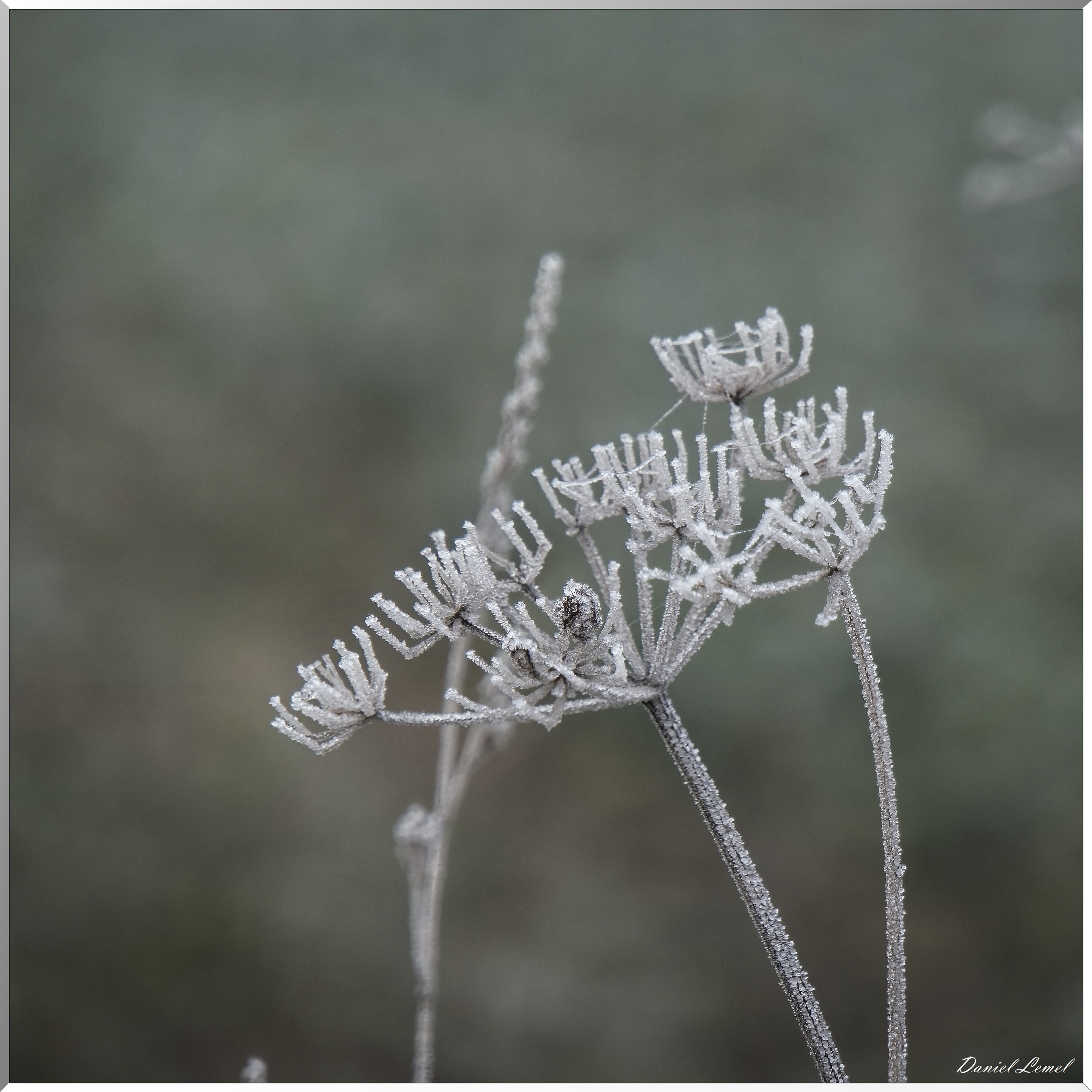 Pressagny l'orgueilleux