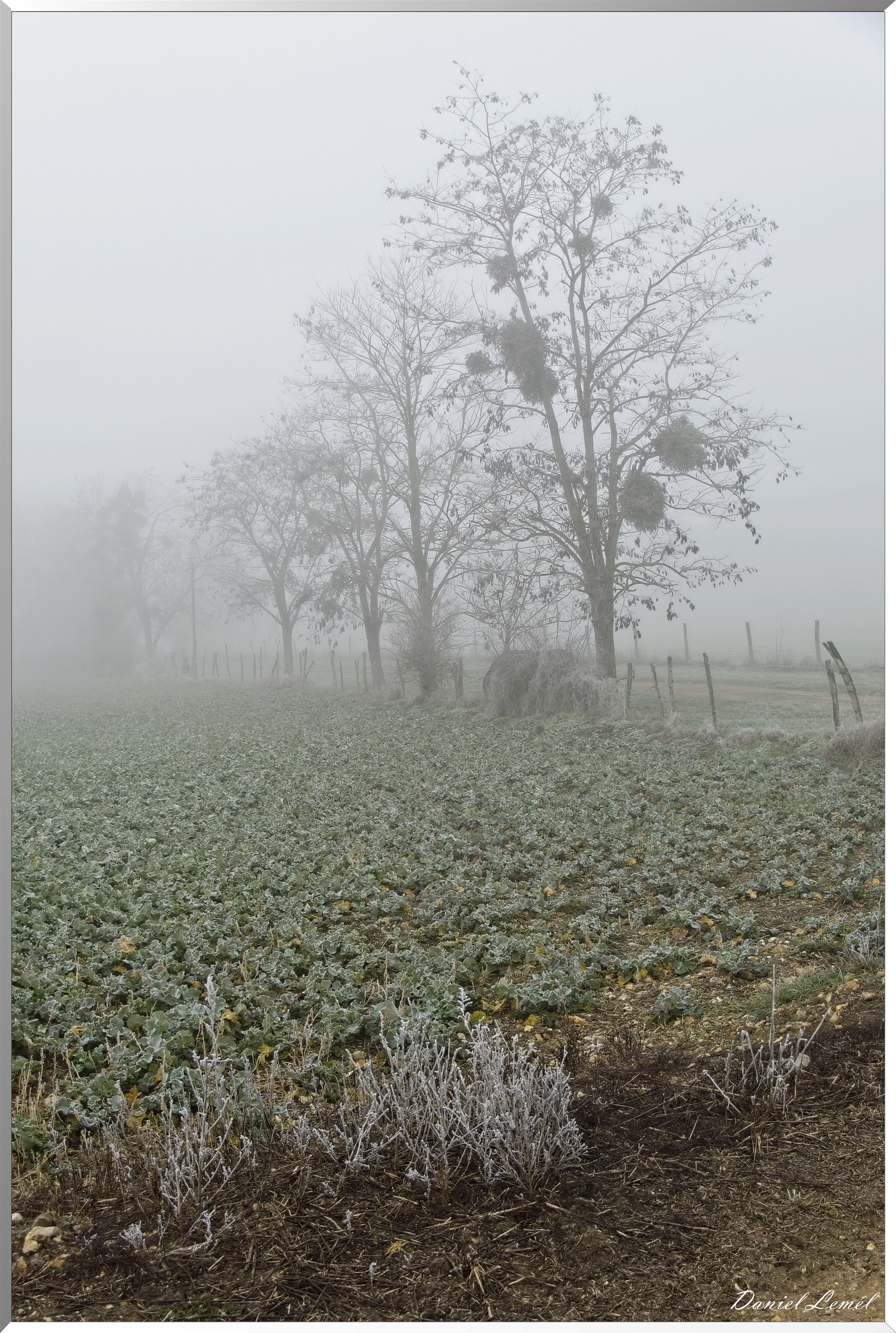 Pressagny l'orgueilleux