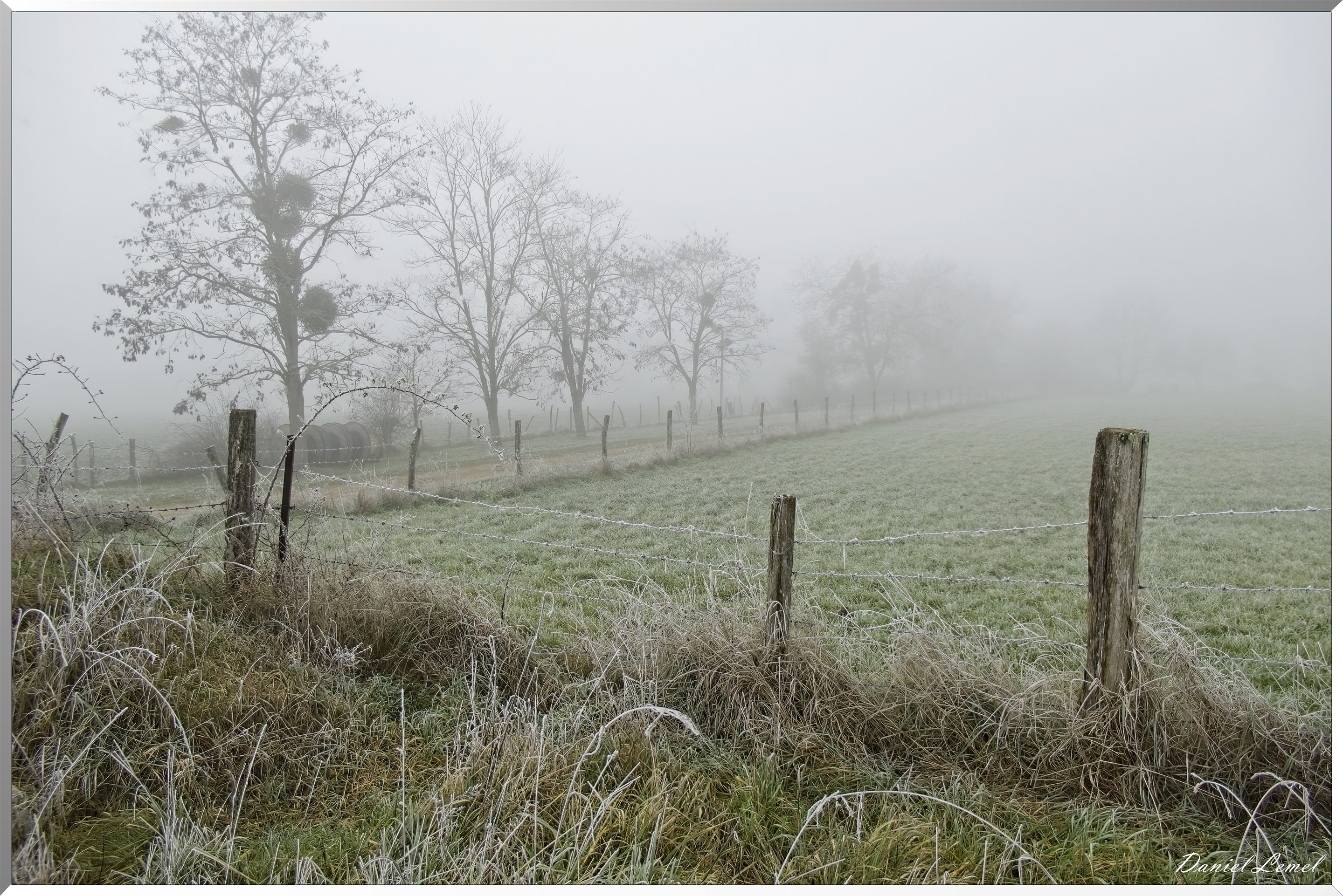 Pressagny l'orgueilleux