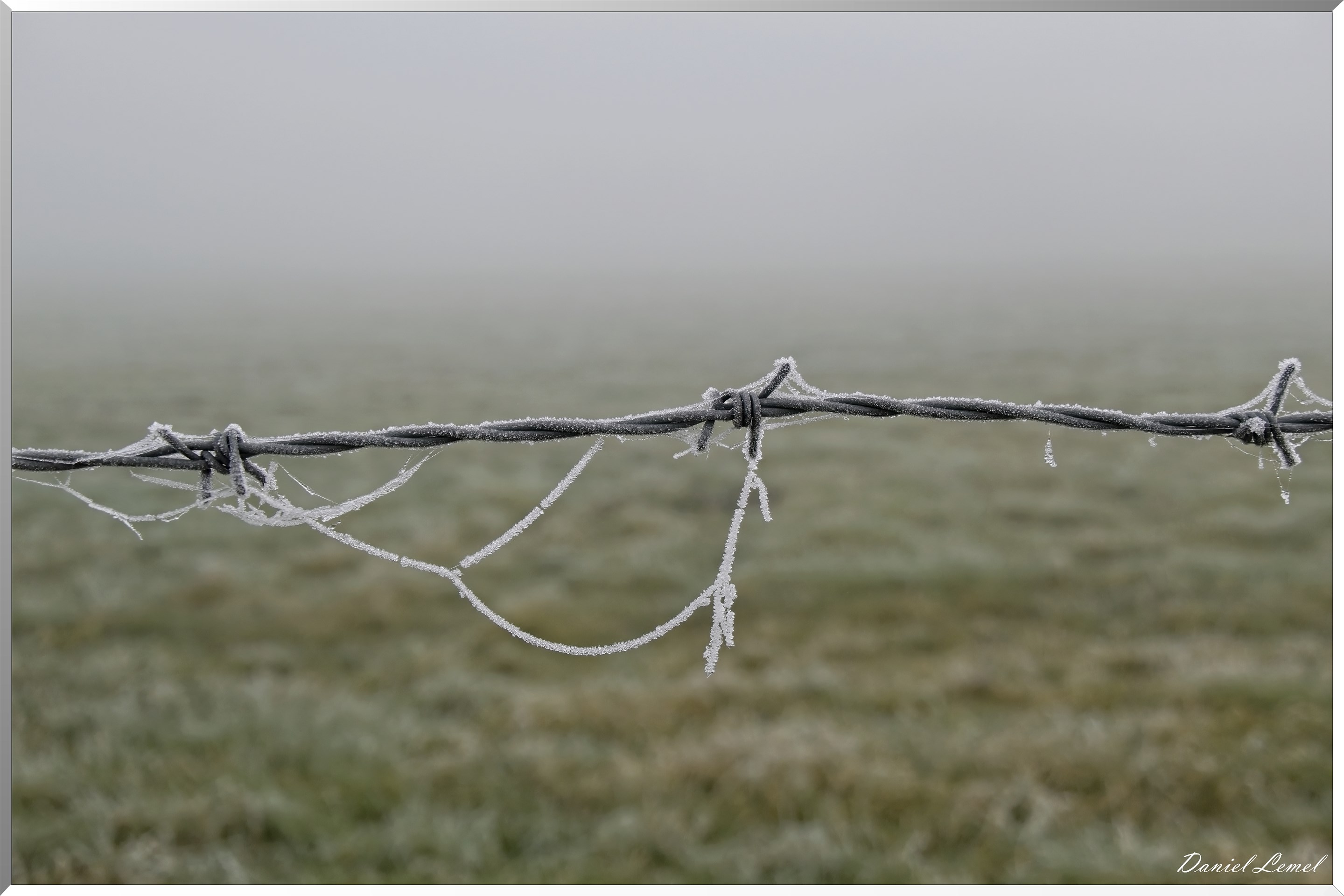 Pressagny l'orgueilleux