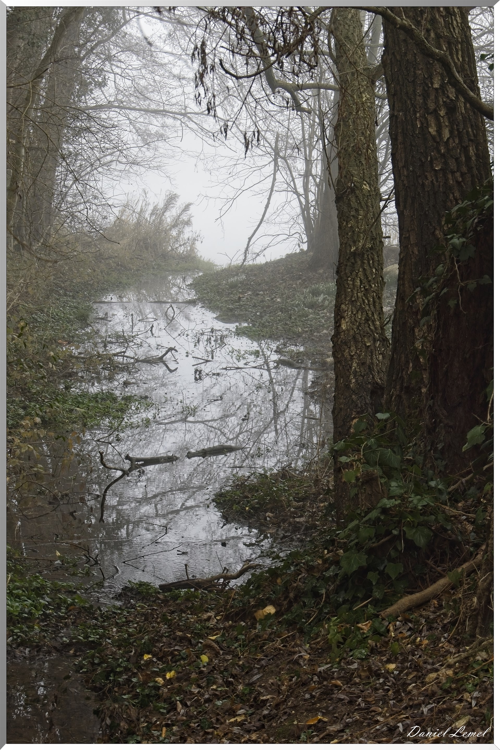 Pressagny l'orgueilleux