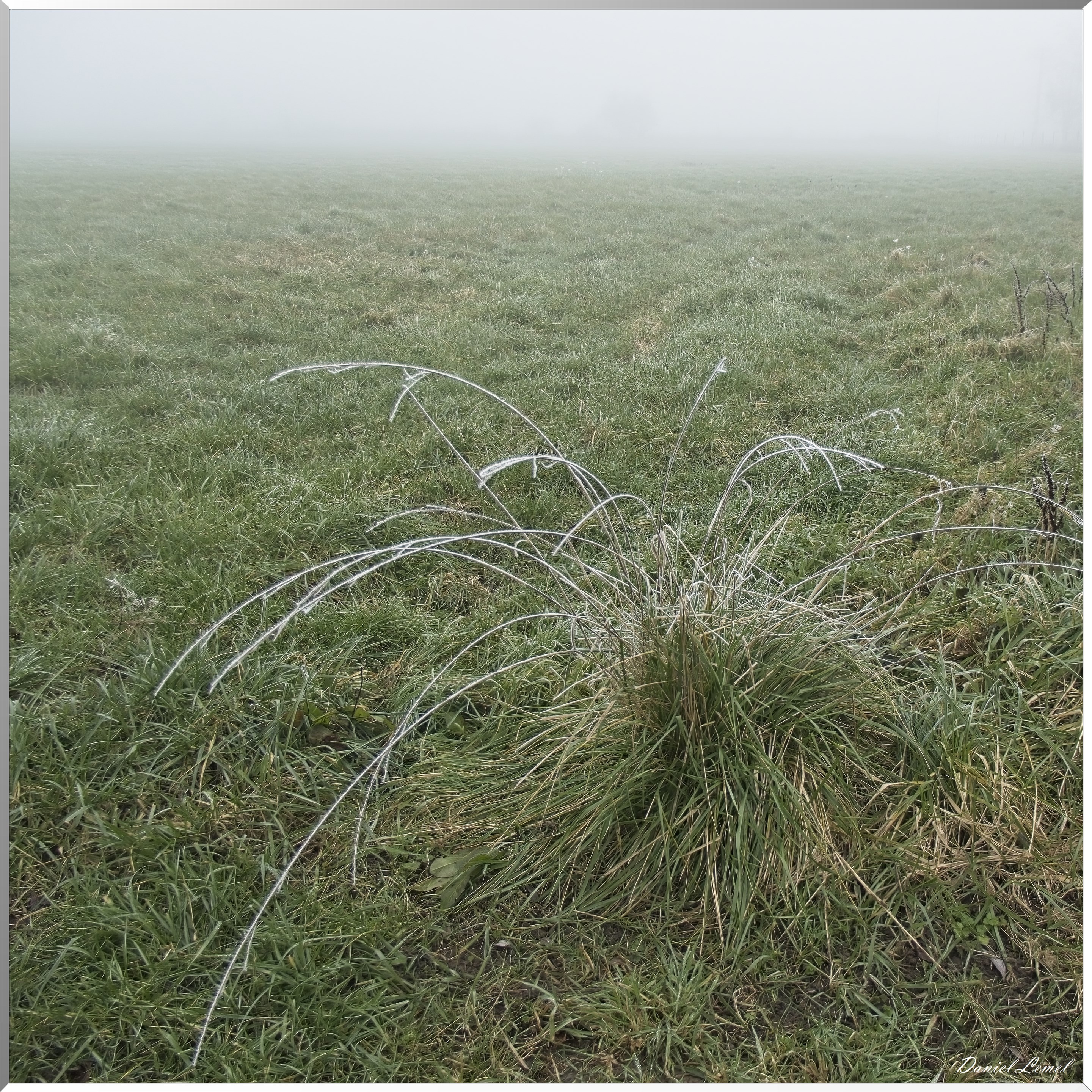 Pressagny l'orgueilleux