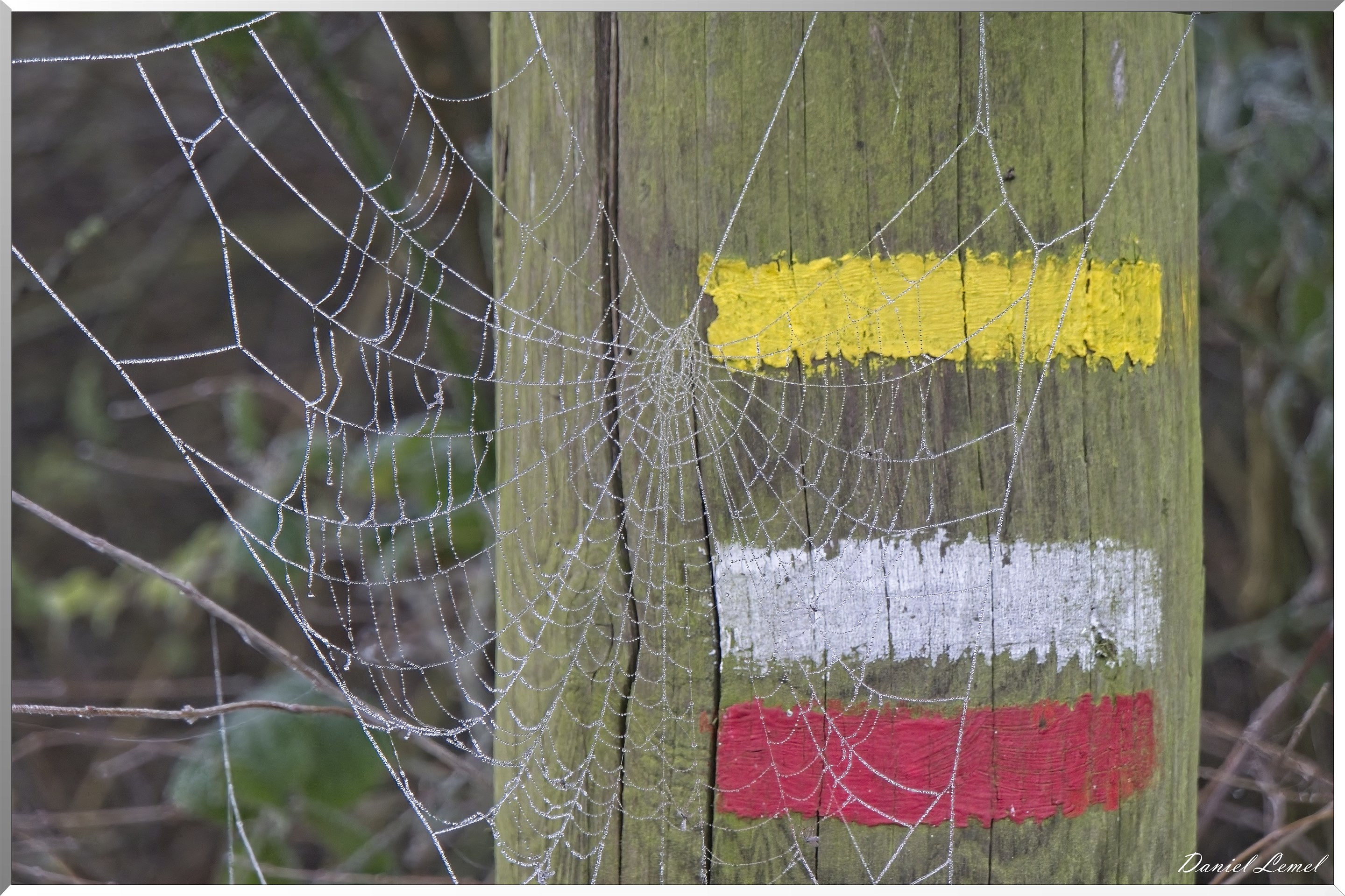 Pressagny l'orgueilleux