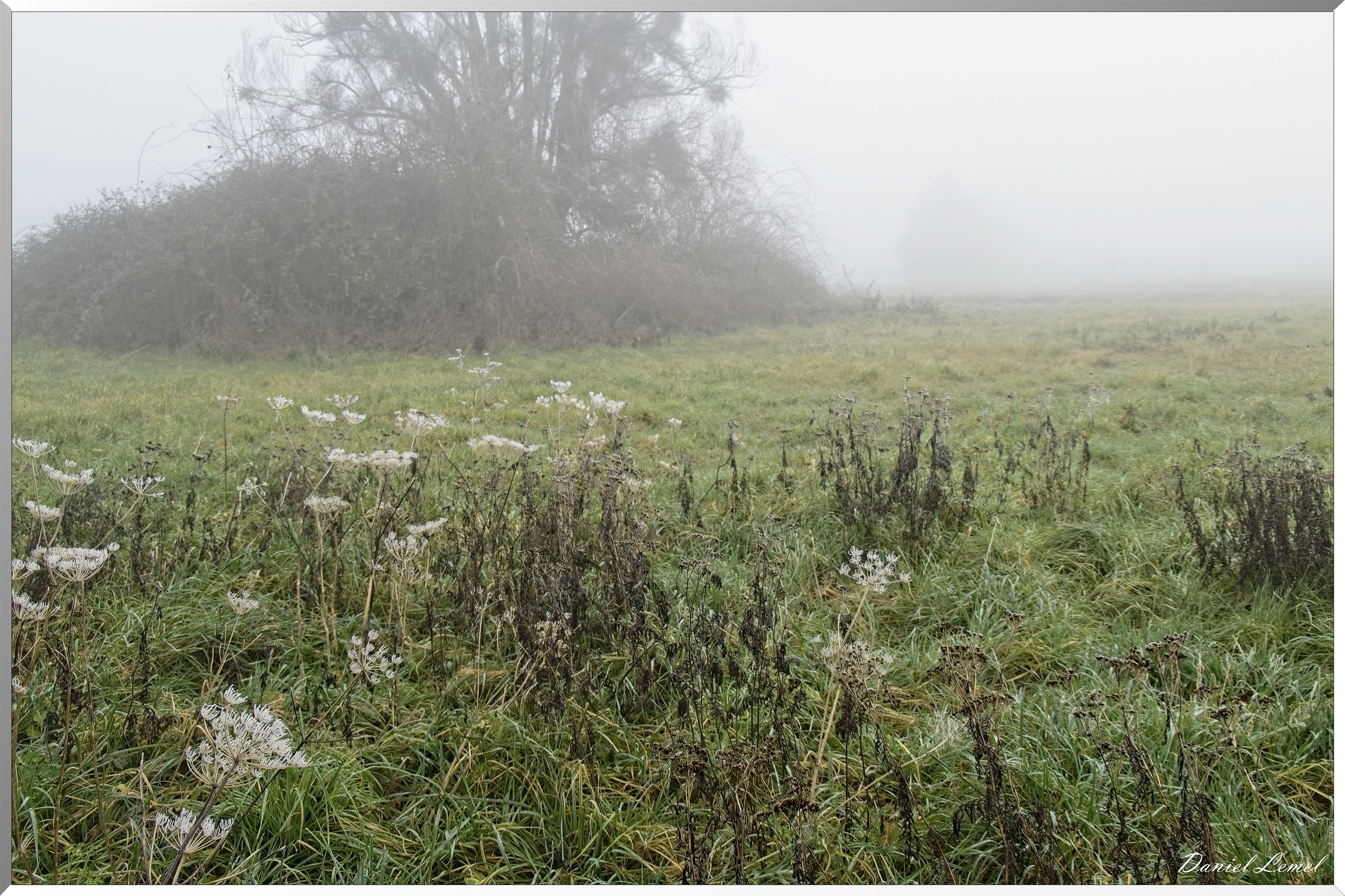 Pressagny l'orgueilleux