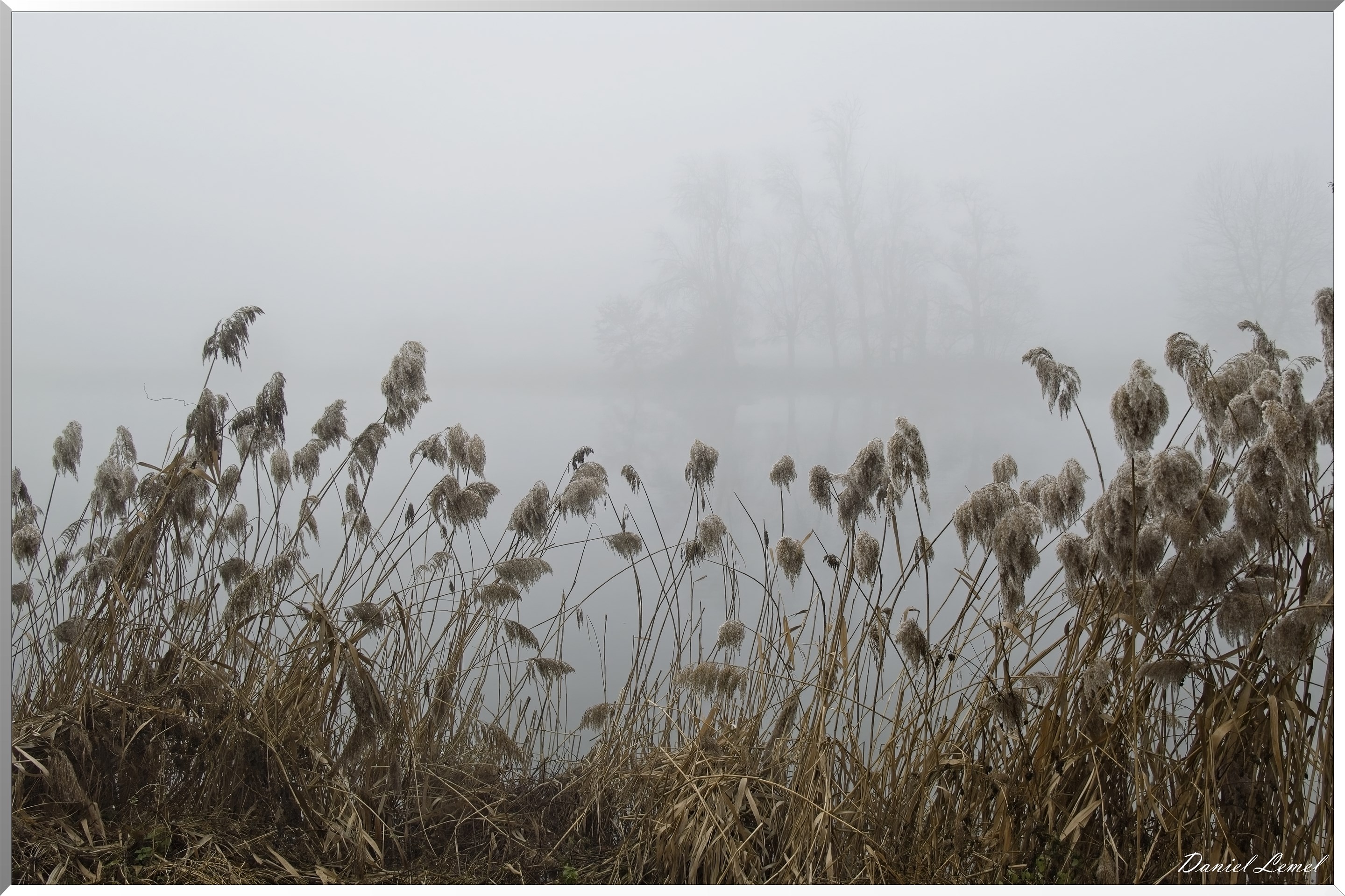 Pressagny l'orgueilleux