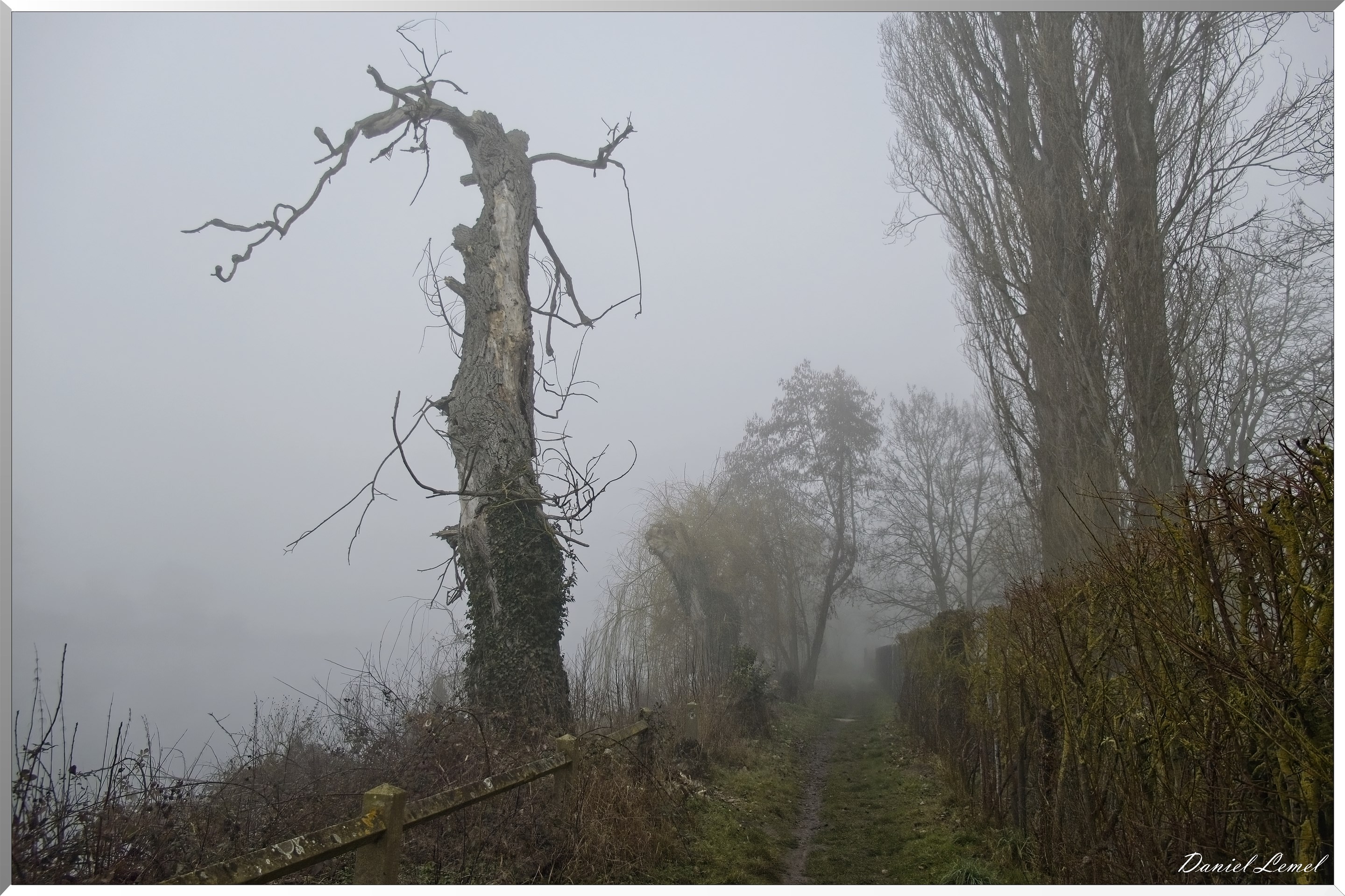 Pressagny l'orgueilleux