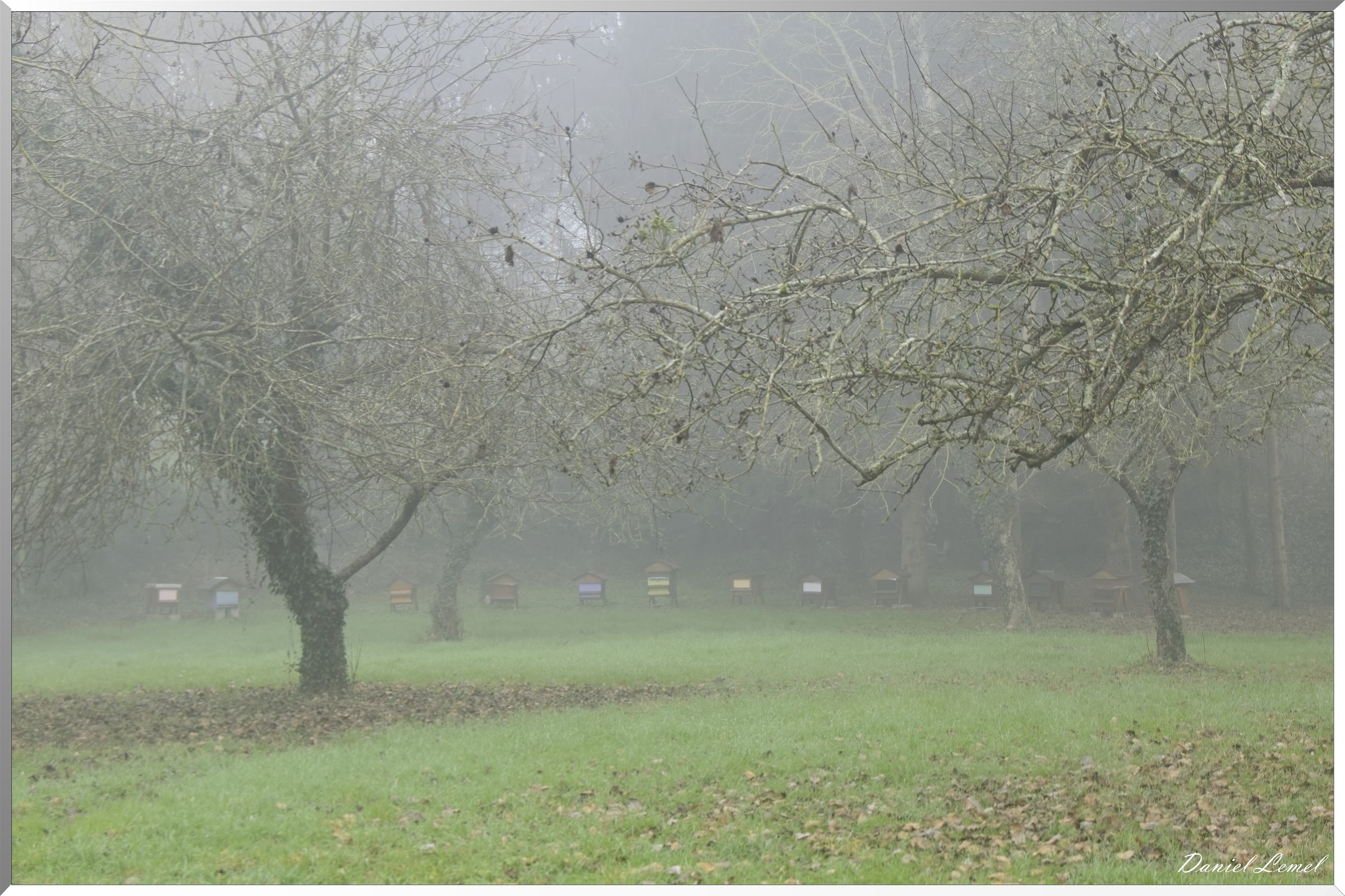 Pressagny l'orgueilleux
