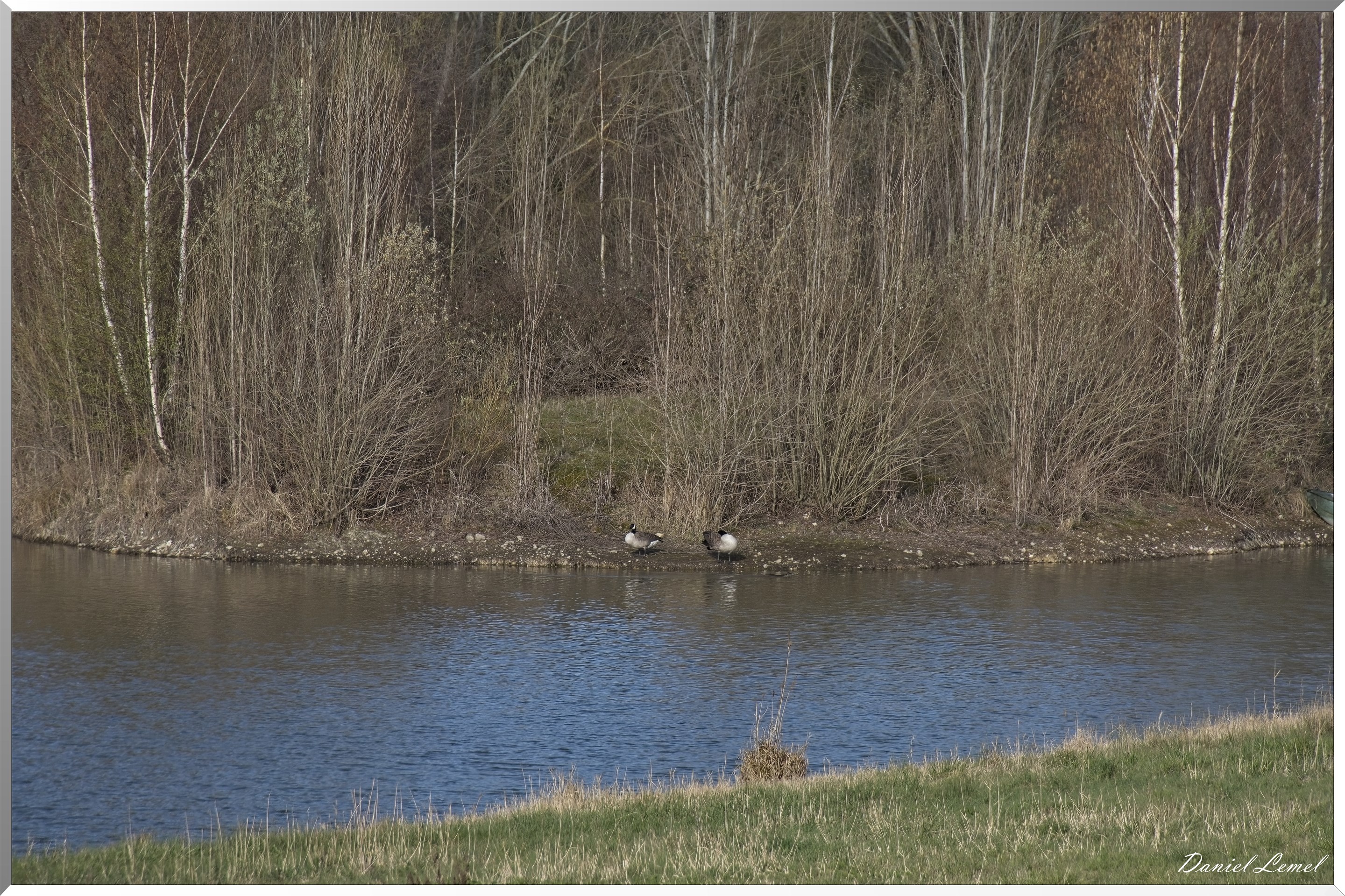 Notre-Dame-de-l'Isle