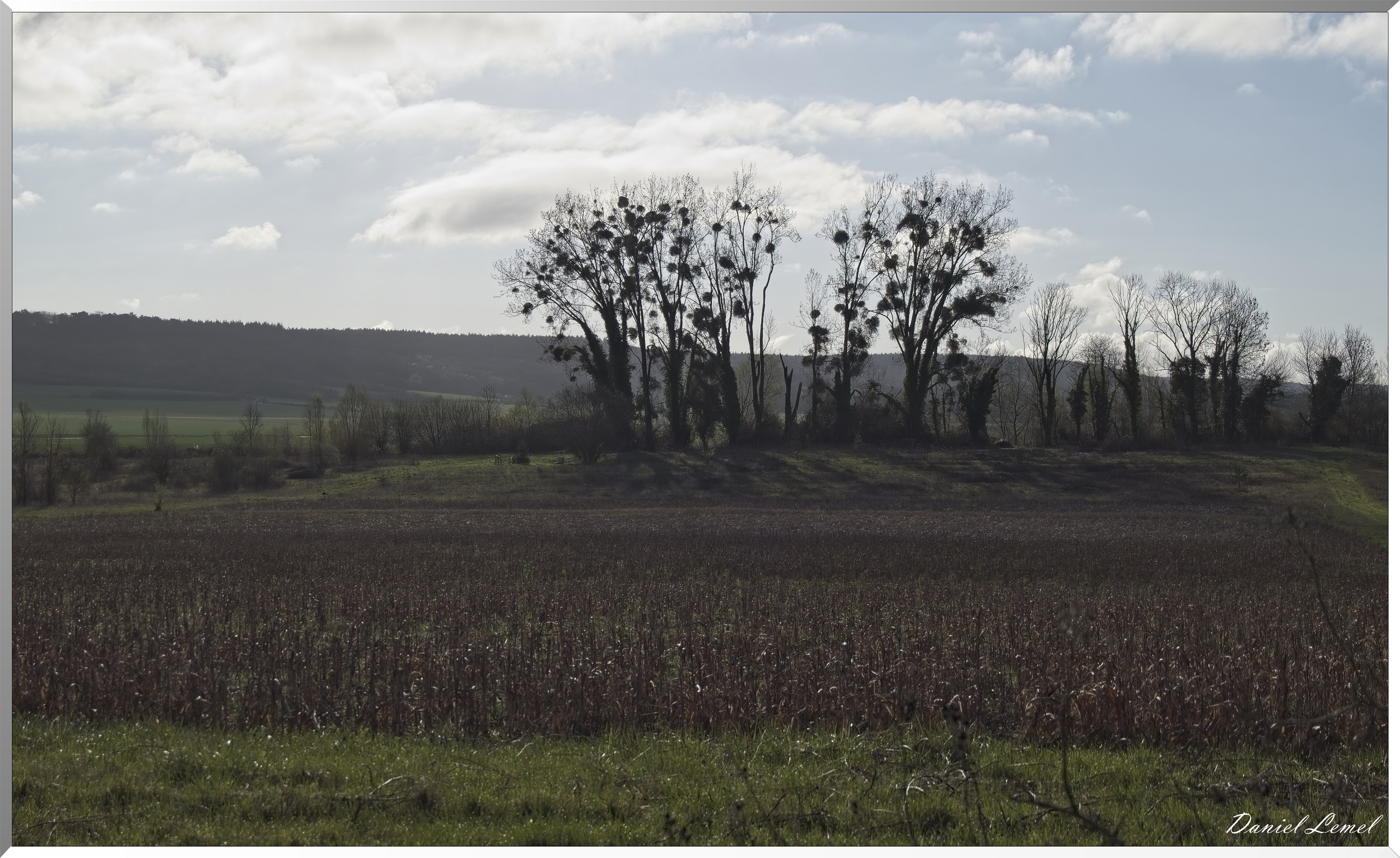 Notre-Dame-de-l'Isle