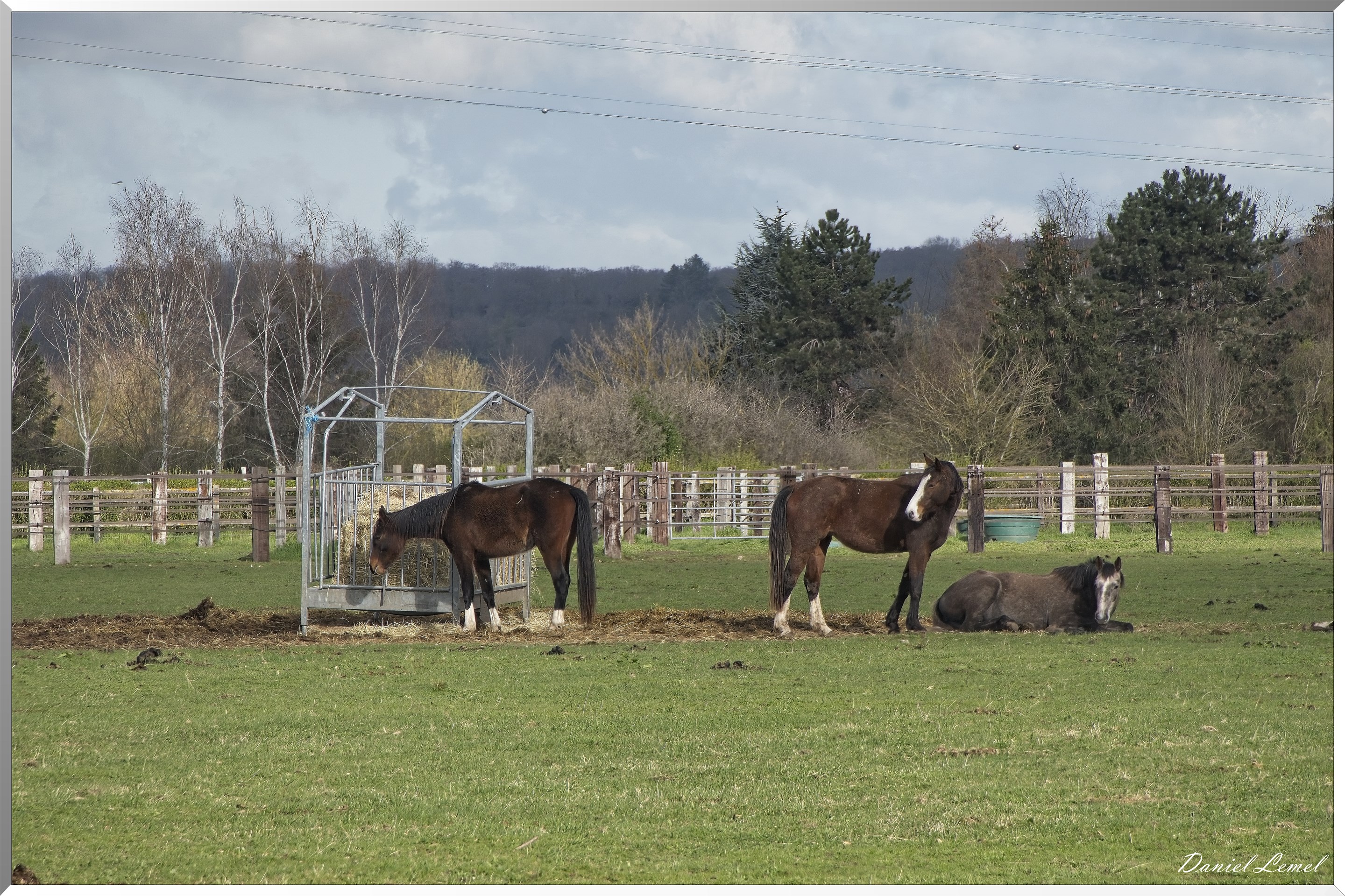 Notre-Dame-de-l'Isle