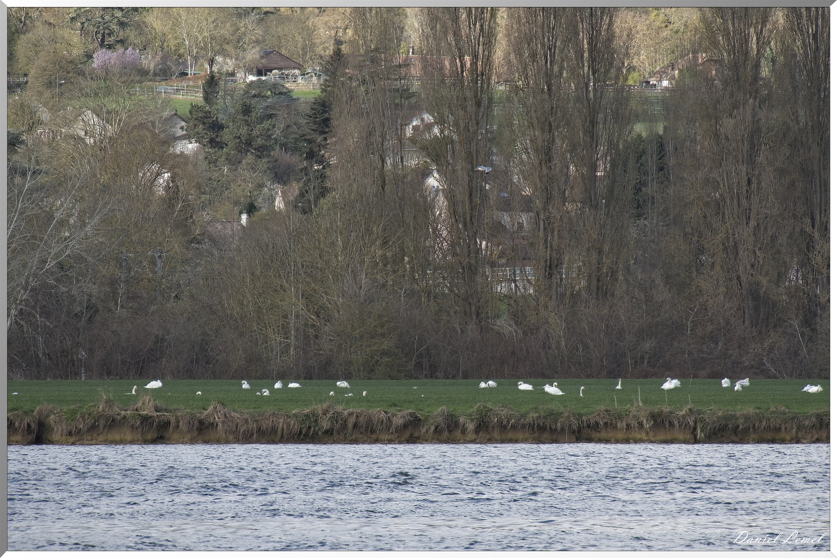 Notre-Dame-de-l'Isle