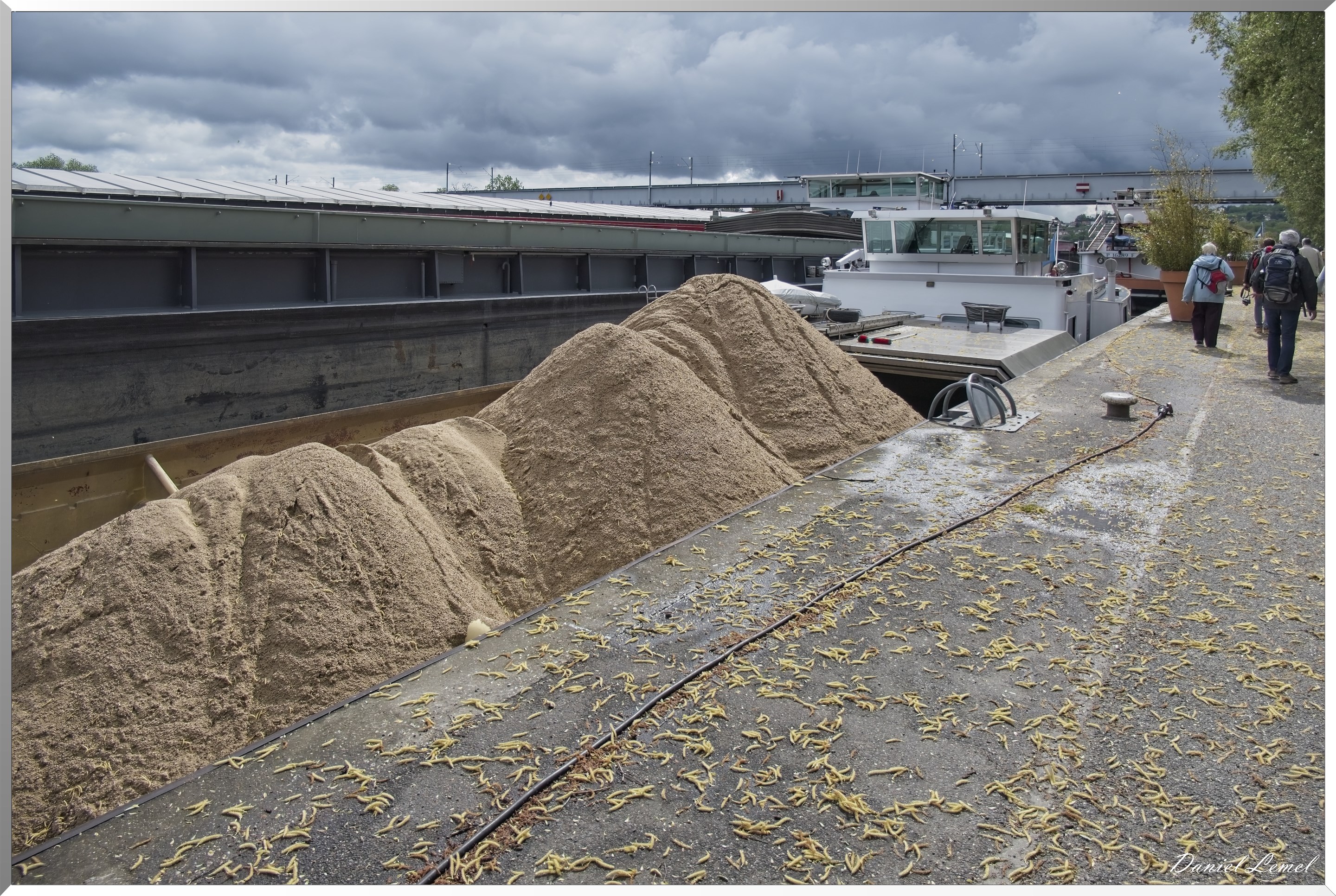 Conflans-Sainte-Honorine