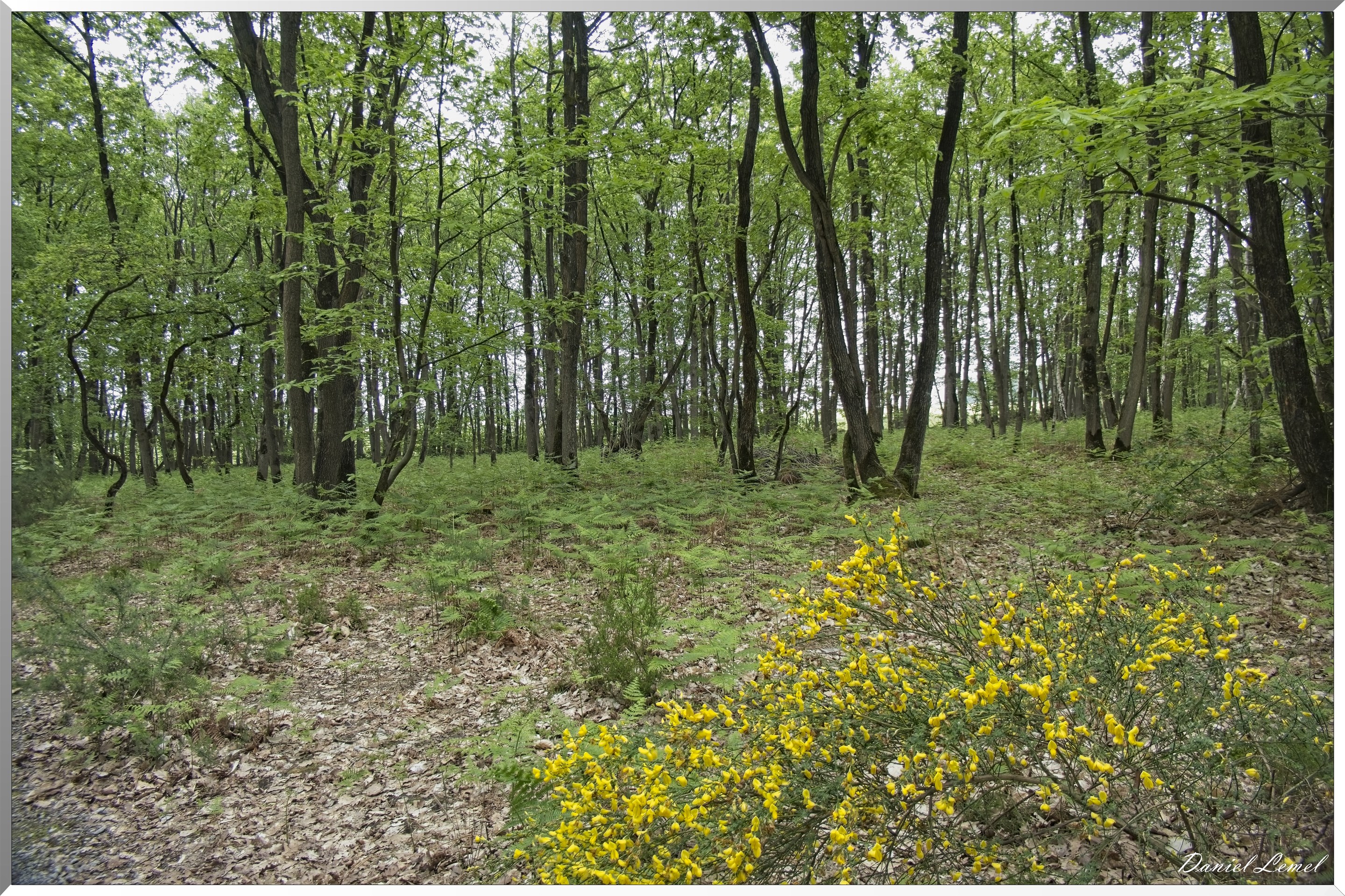 St-Aubin-sur-Gaillon