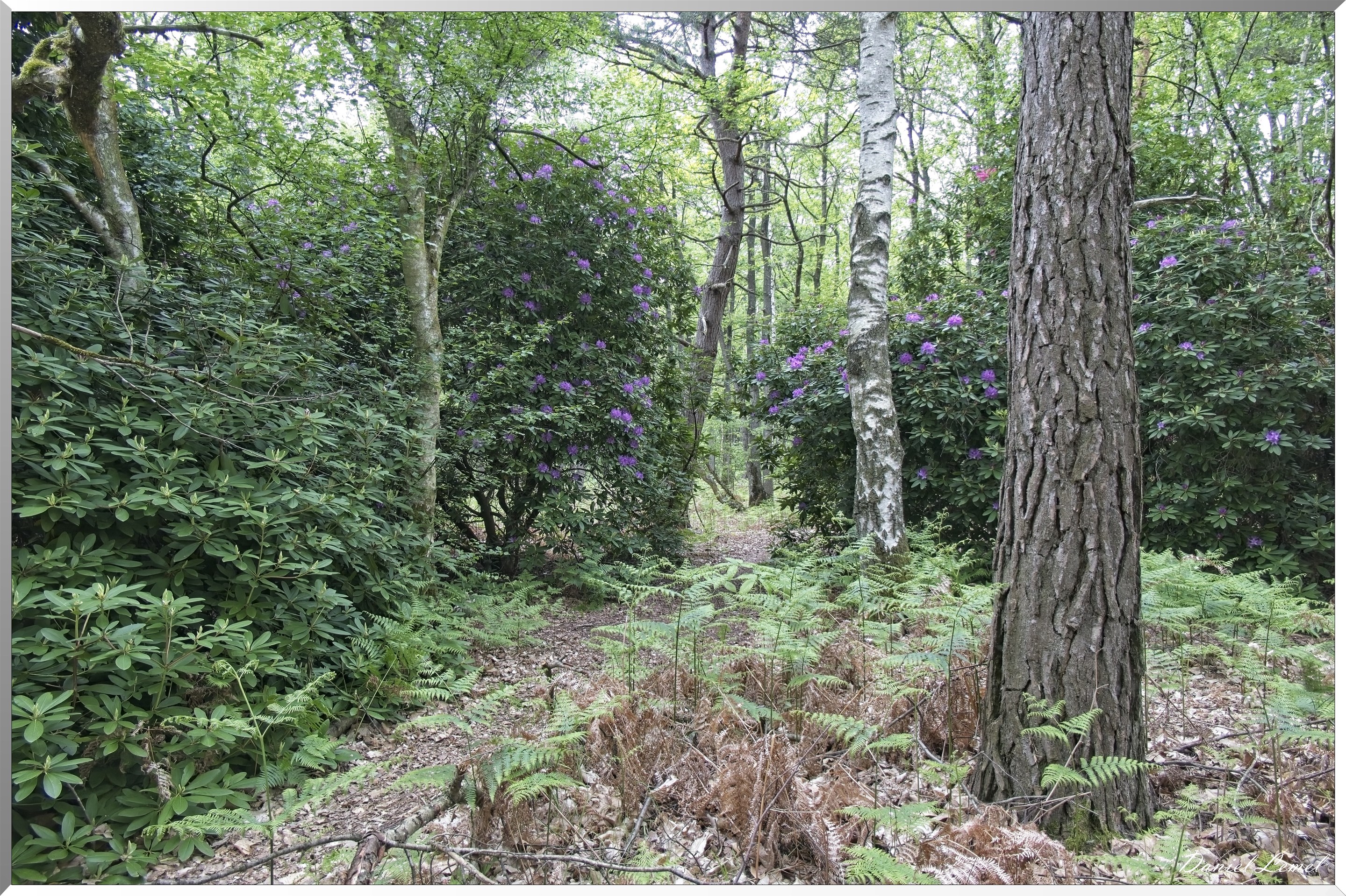 St-Aubin-sur-Gaillon