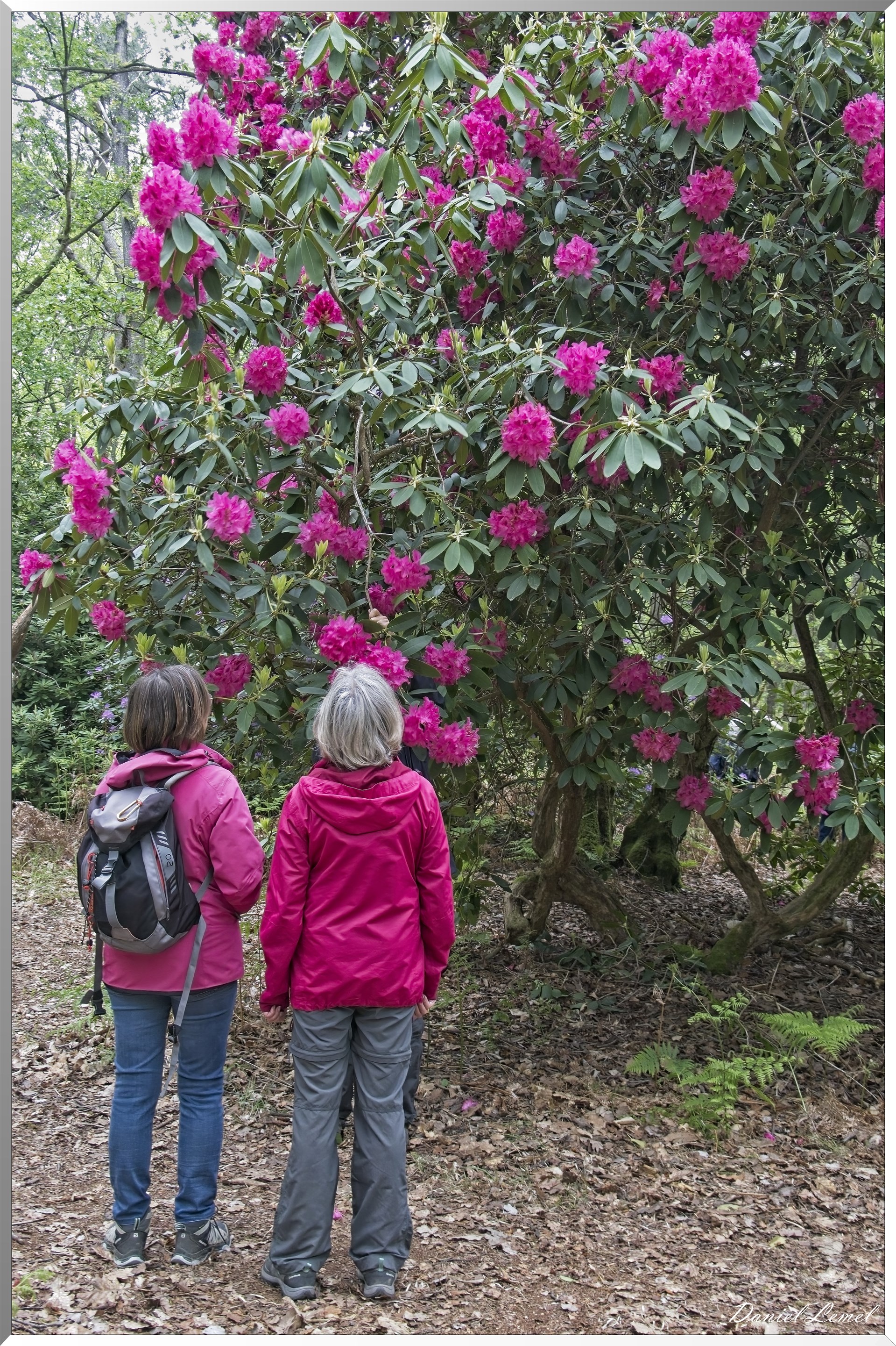 St-Aubin-sur-Gaillon