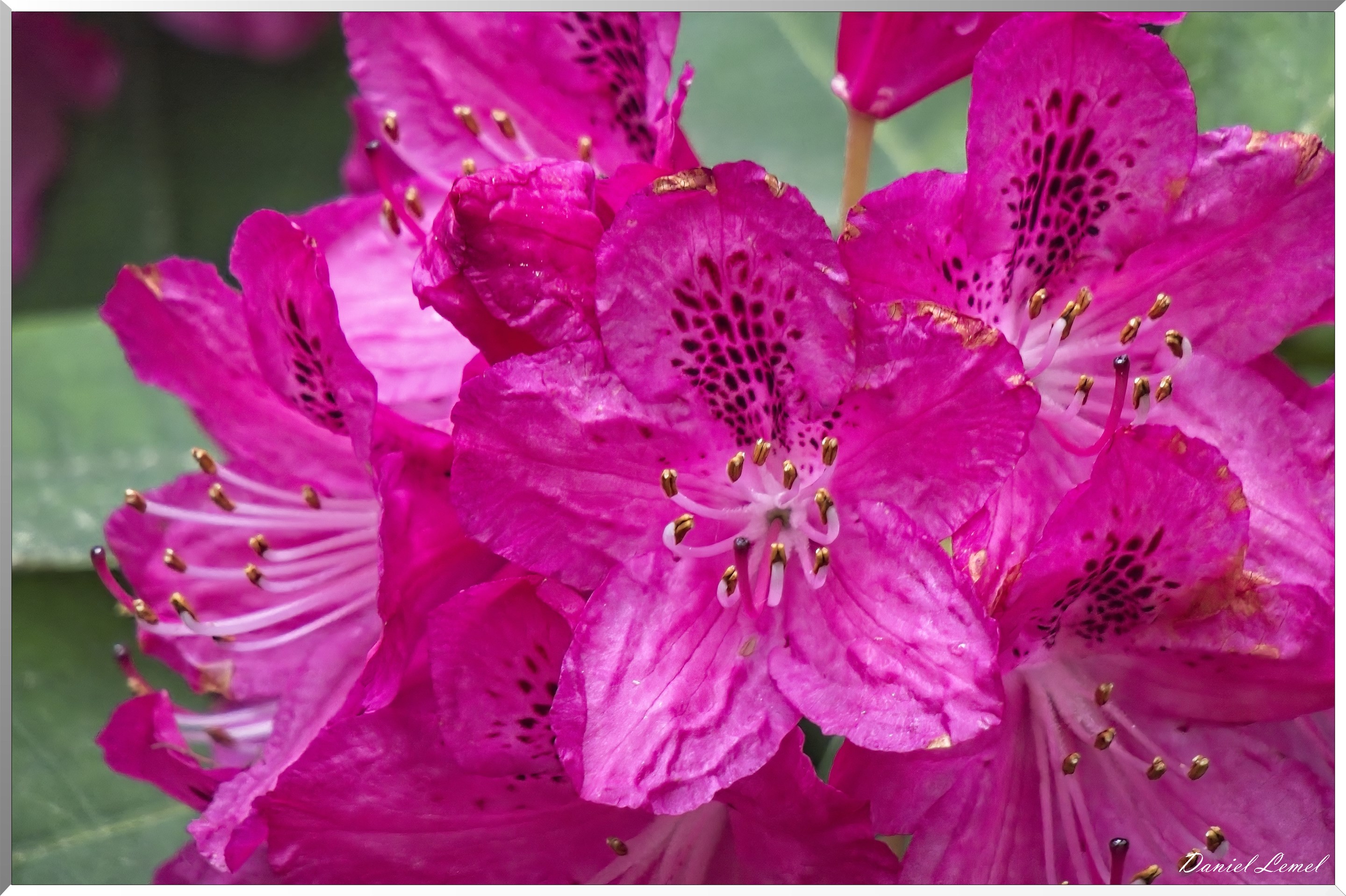 St-Aubin-sur-Gaillon