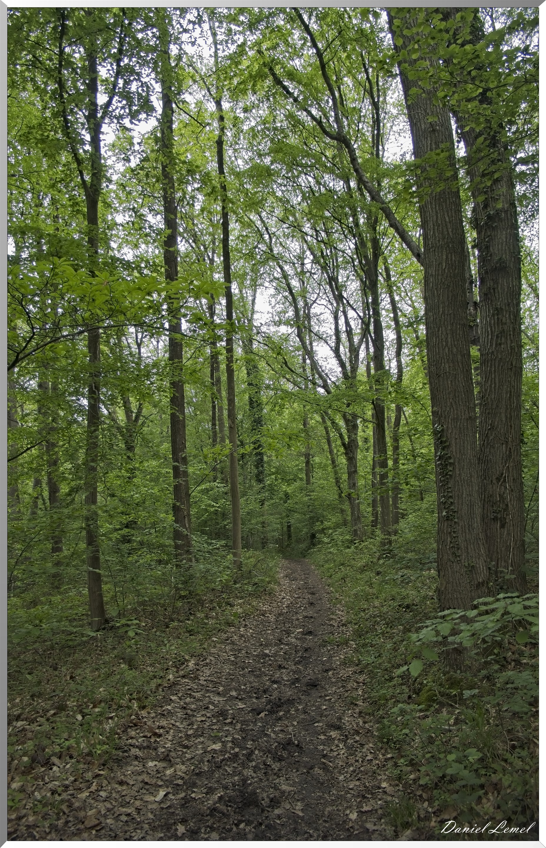 St-Aubin-sur-Gaillon