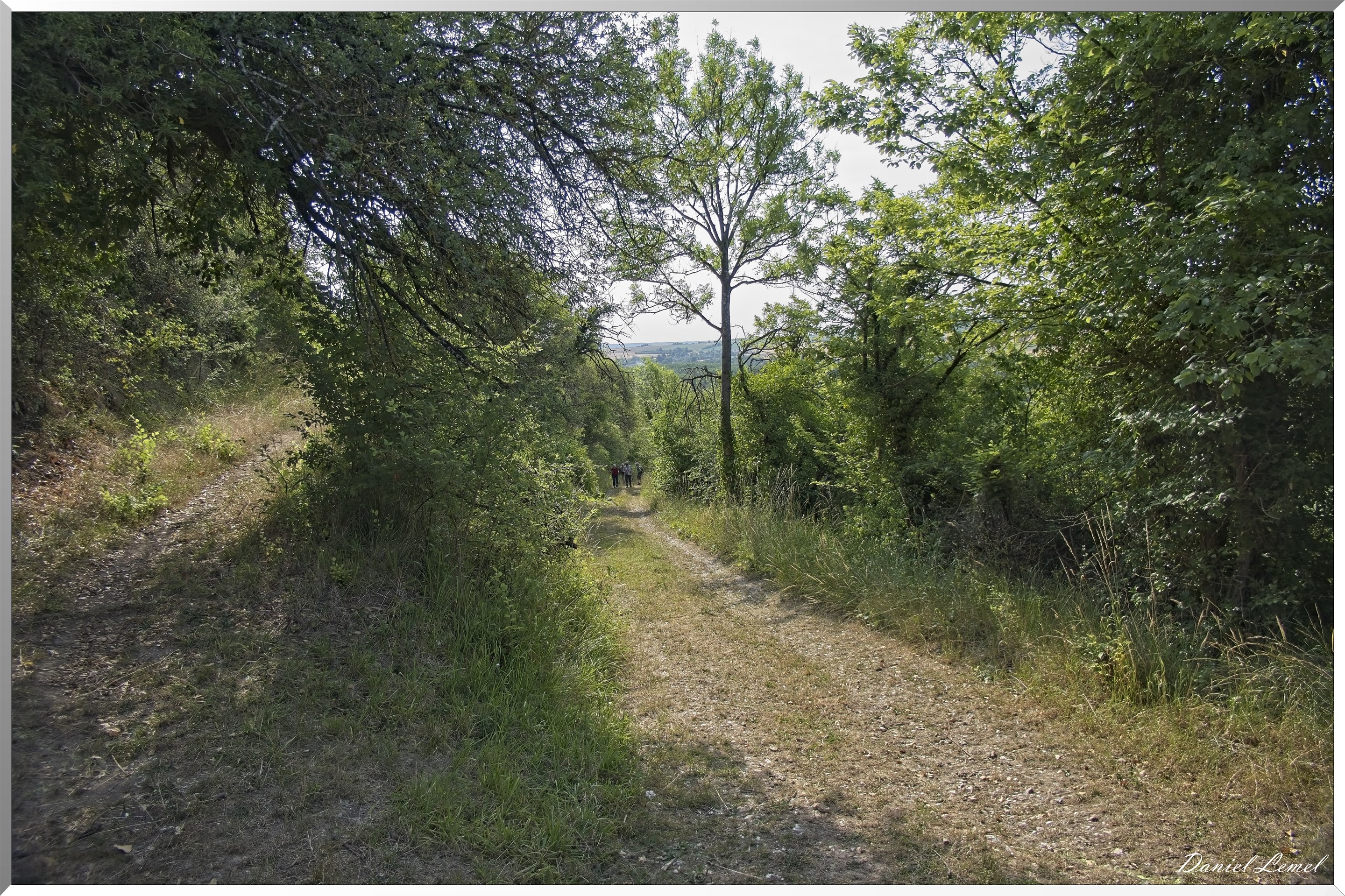 Ste-Geneviève-lès-Gasny