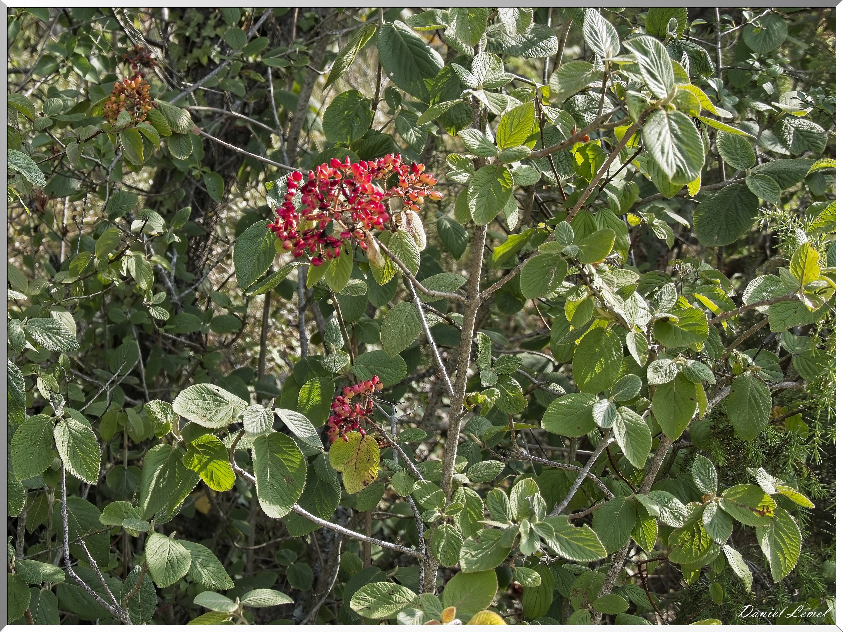 Ste-Geneviève-lès-Gasny