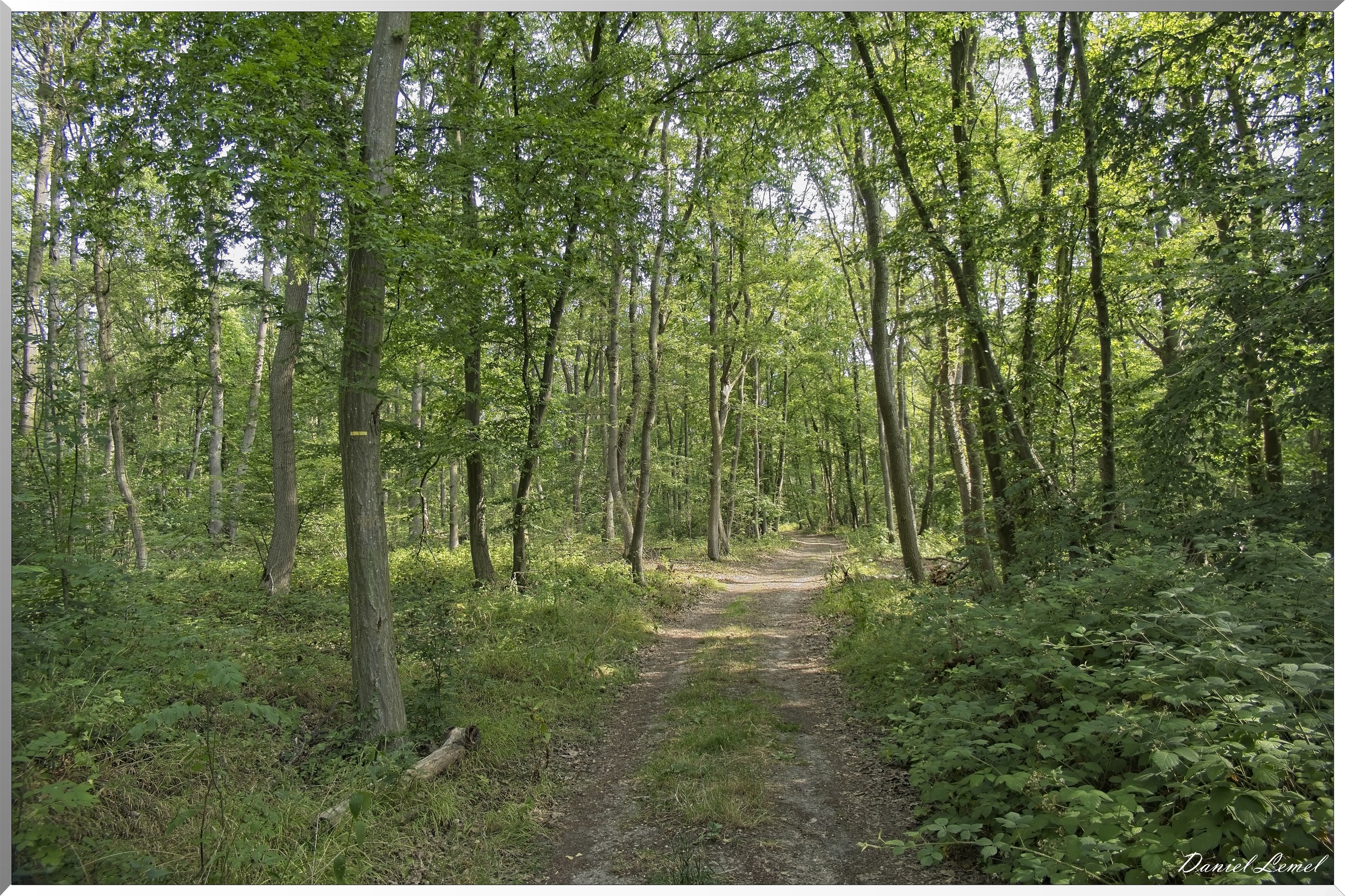 Ste-Geneviève-lès-Gasny