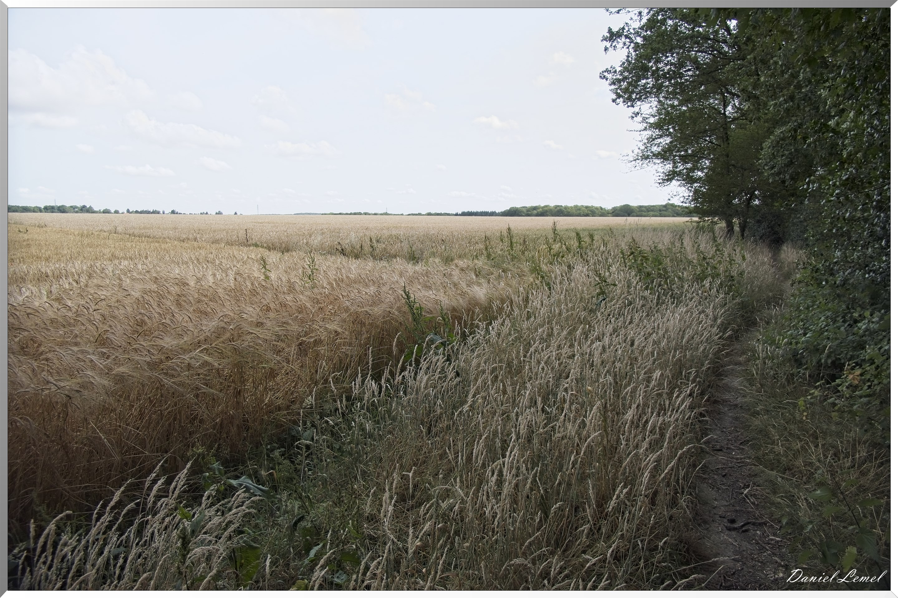 Ste-Geneviève-lès-Gasny