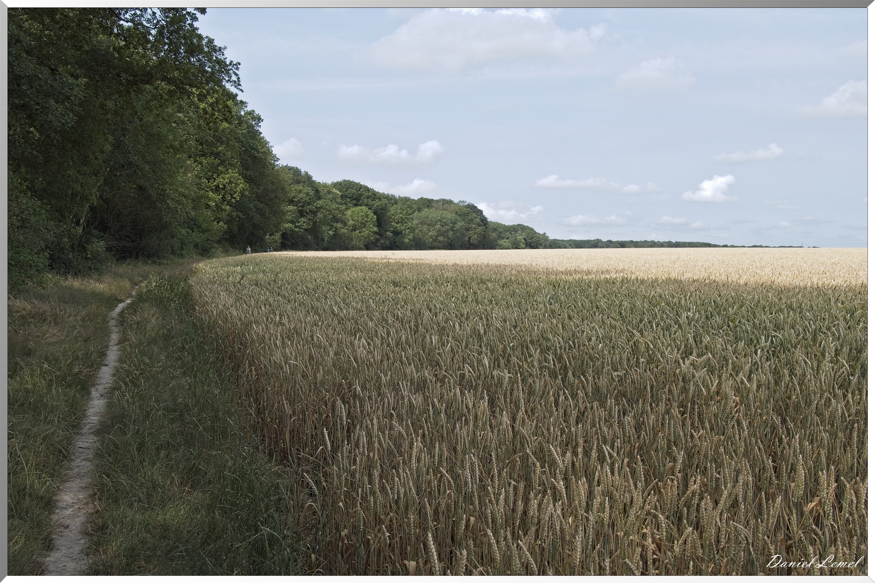 Ste-Geneviève-lès-Gasny