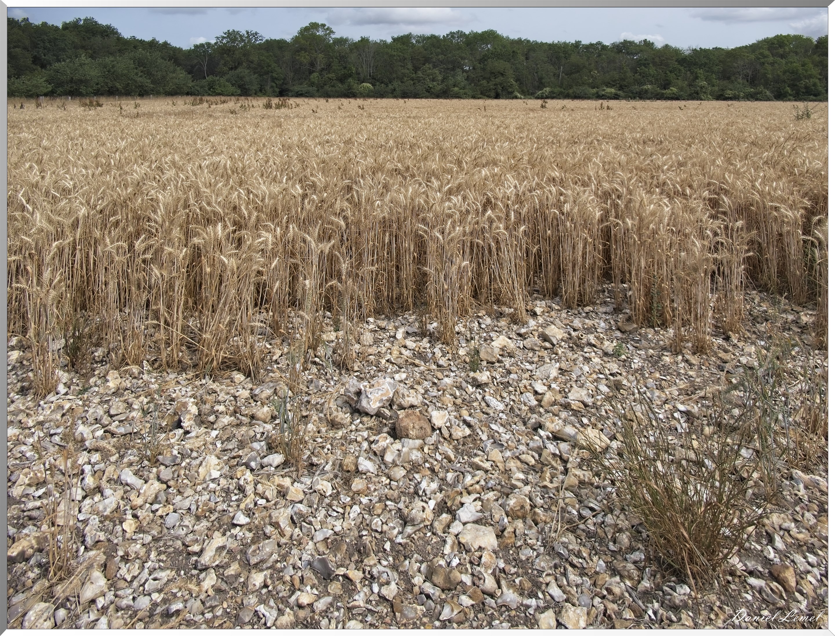 Ste-Geneviève-lès-Gasny
